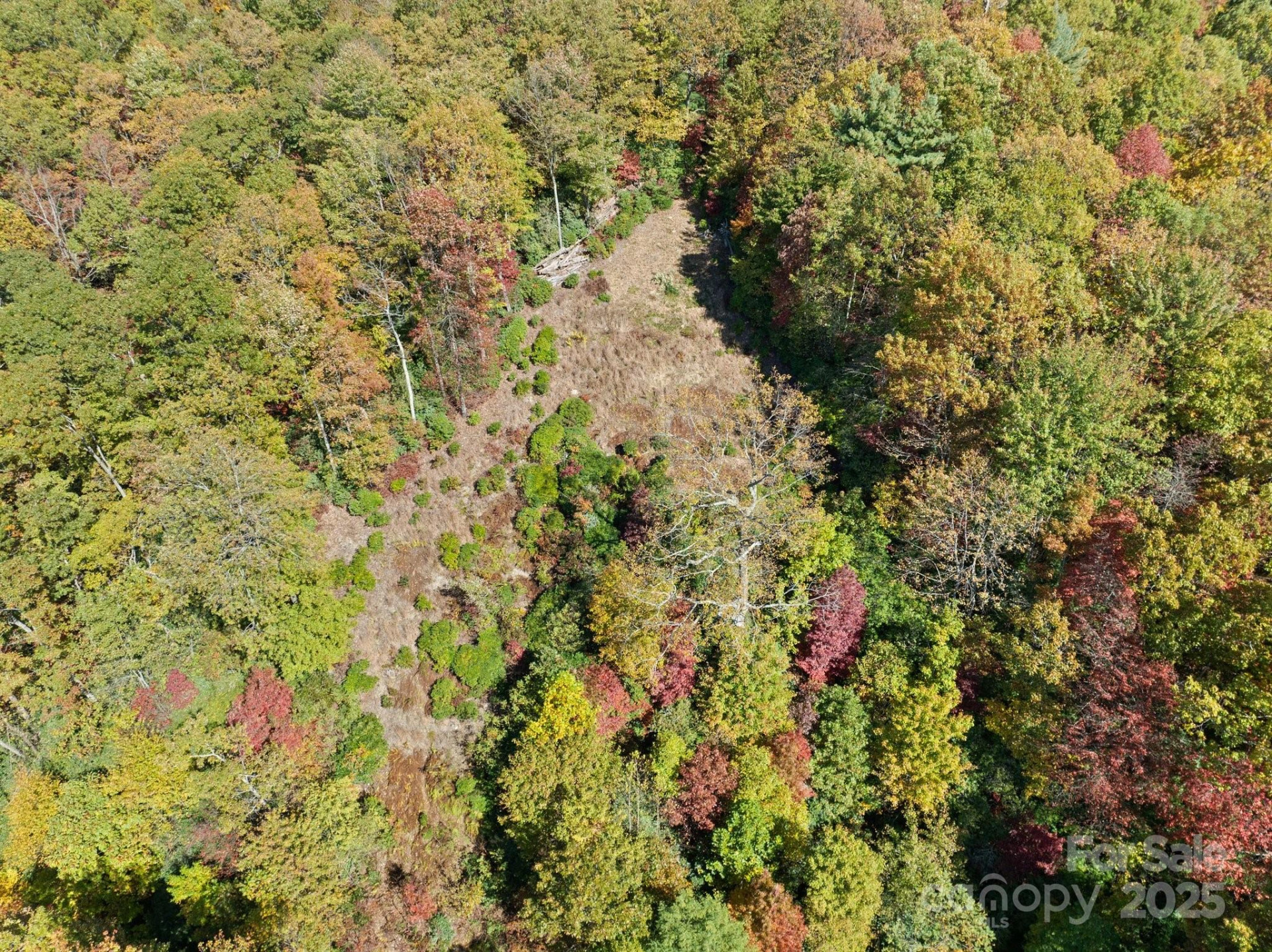 TBD Sassafras Ridge #36 - Photo 15