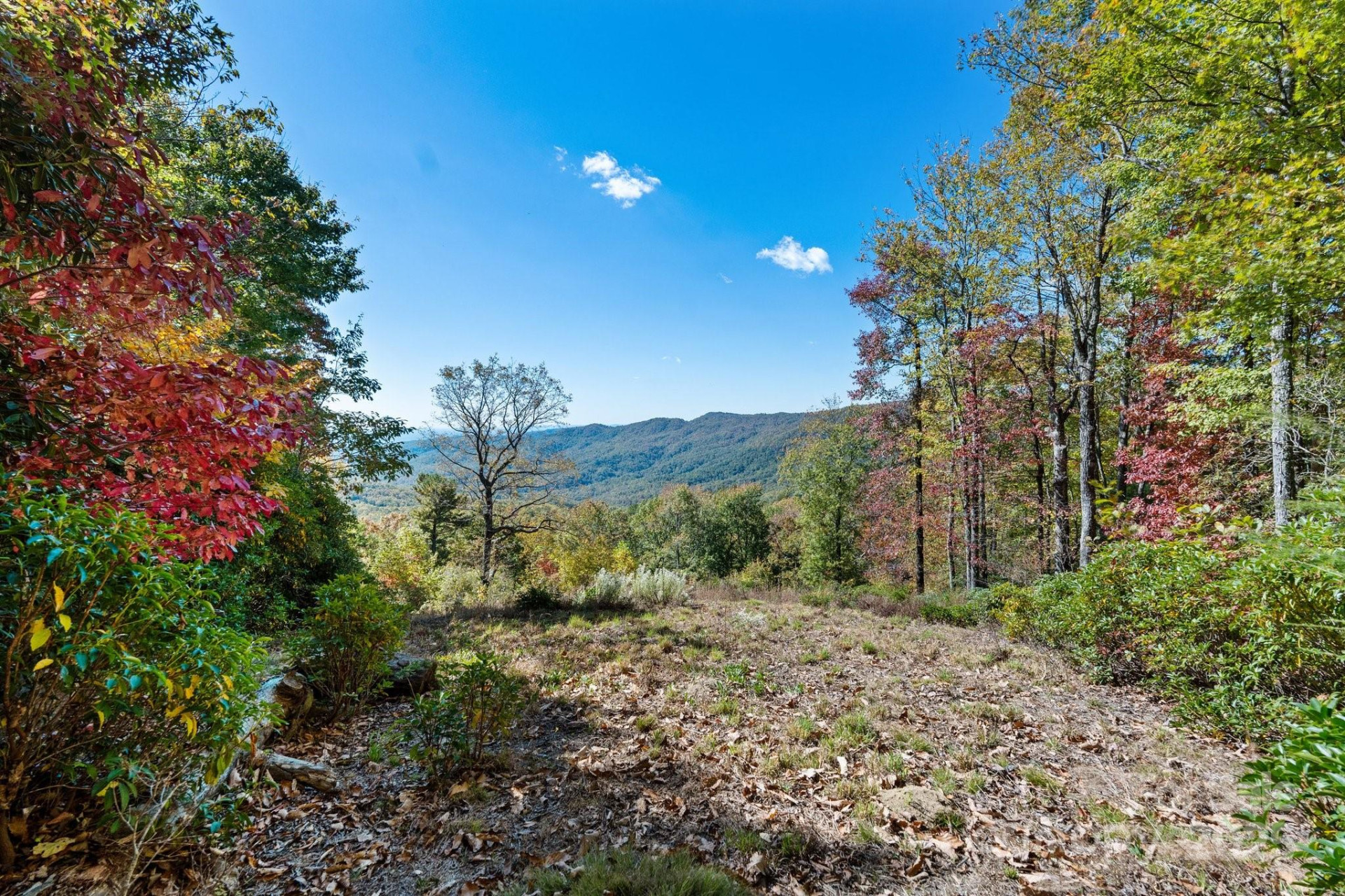 TBD Sassafras Ridge #36 - Photo 18