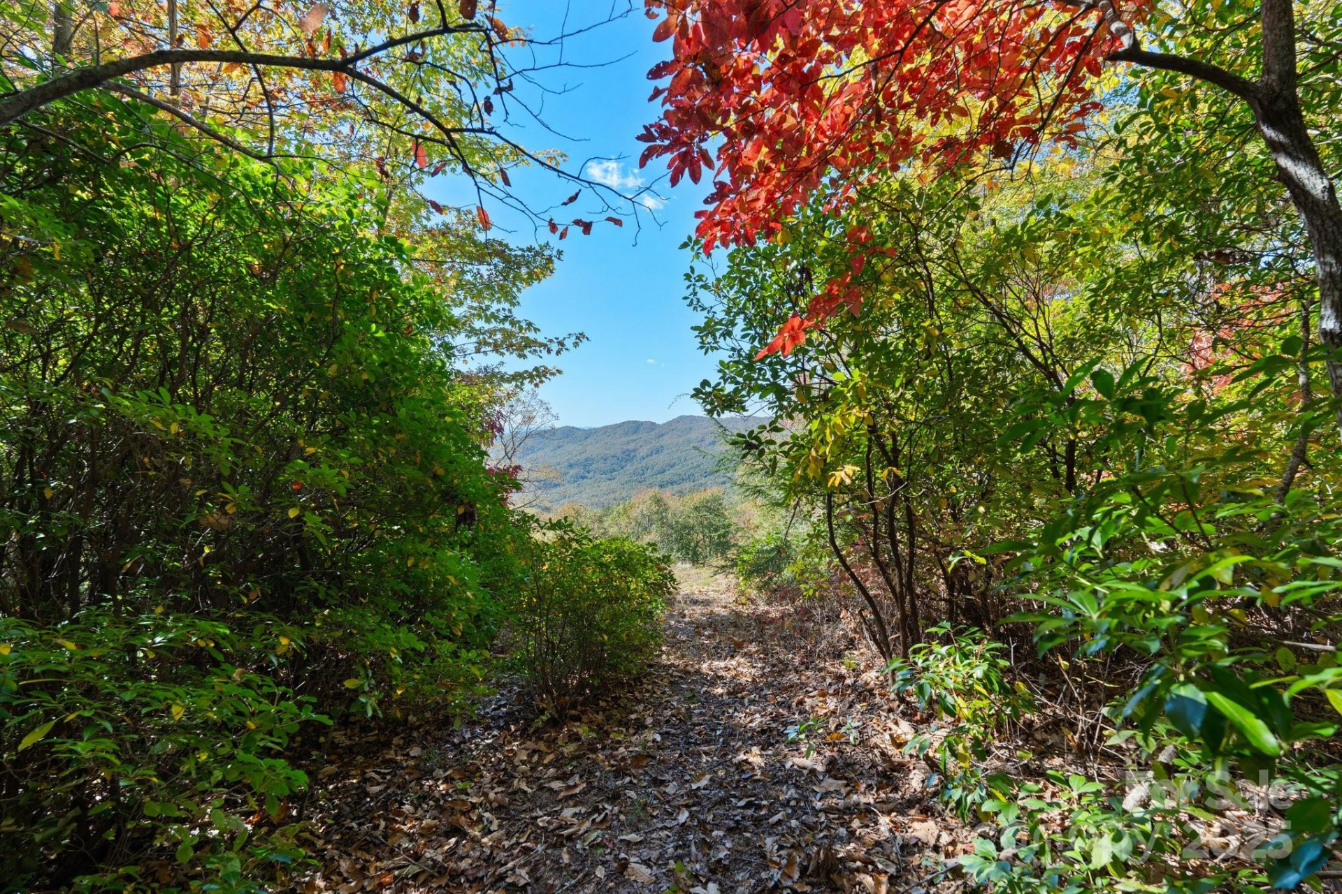 TBD Sassafras Ridge #36 - Photo 19