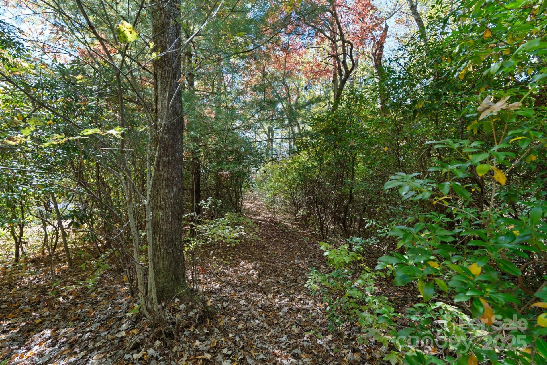 TBD Sassafras Ridge #36 - Photo 20