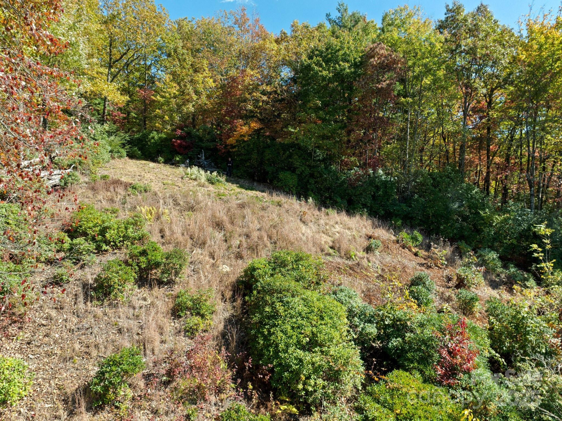 TBD Sassafras Ridge #36 - Photo 3