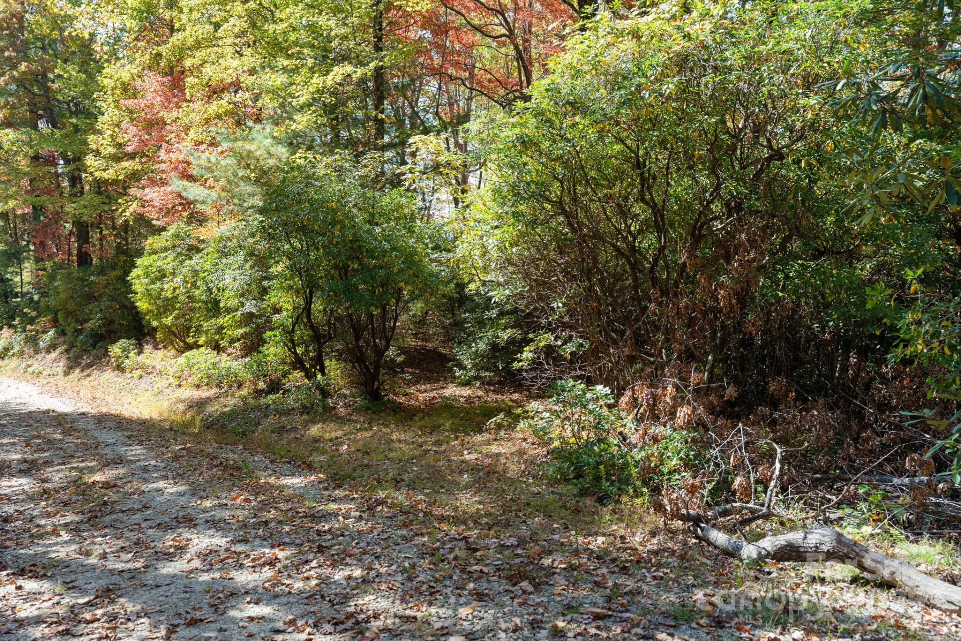 TBD Sassafras Ridge #36 - Photo 21
