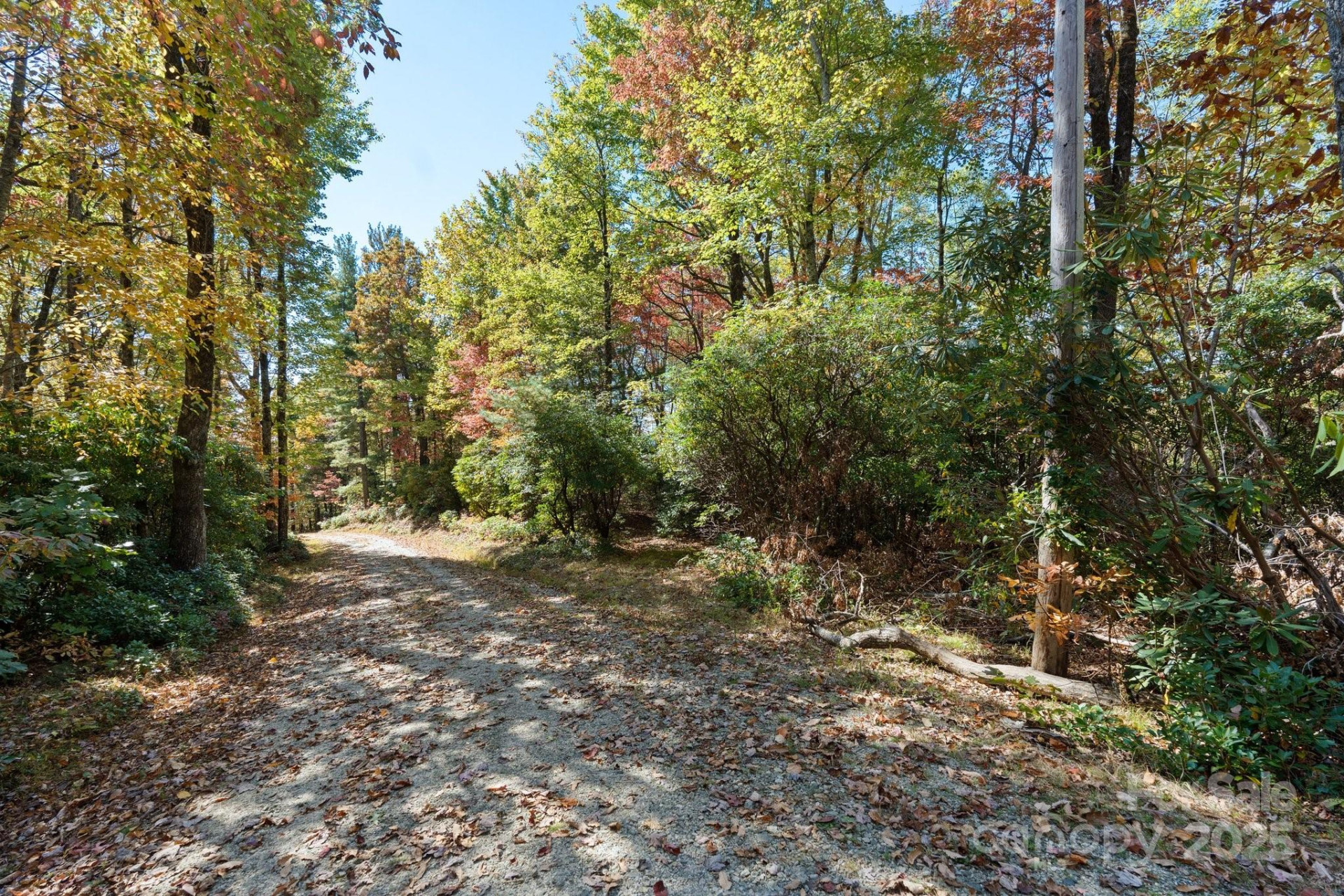 TBD Sassafras Ridge #36 - Photo 22
