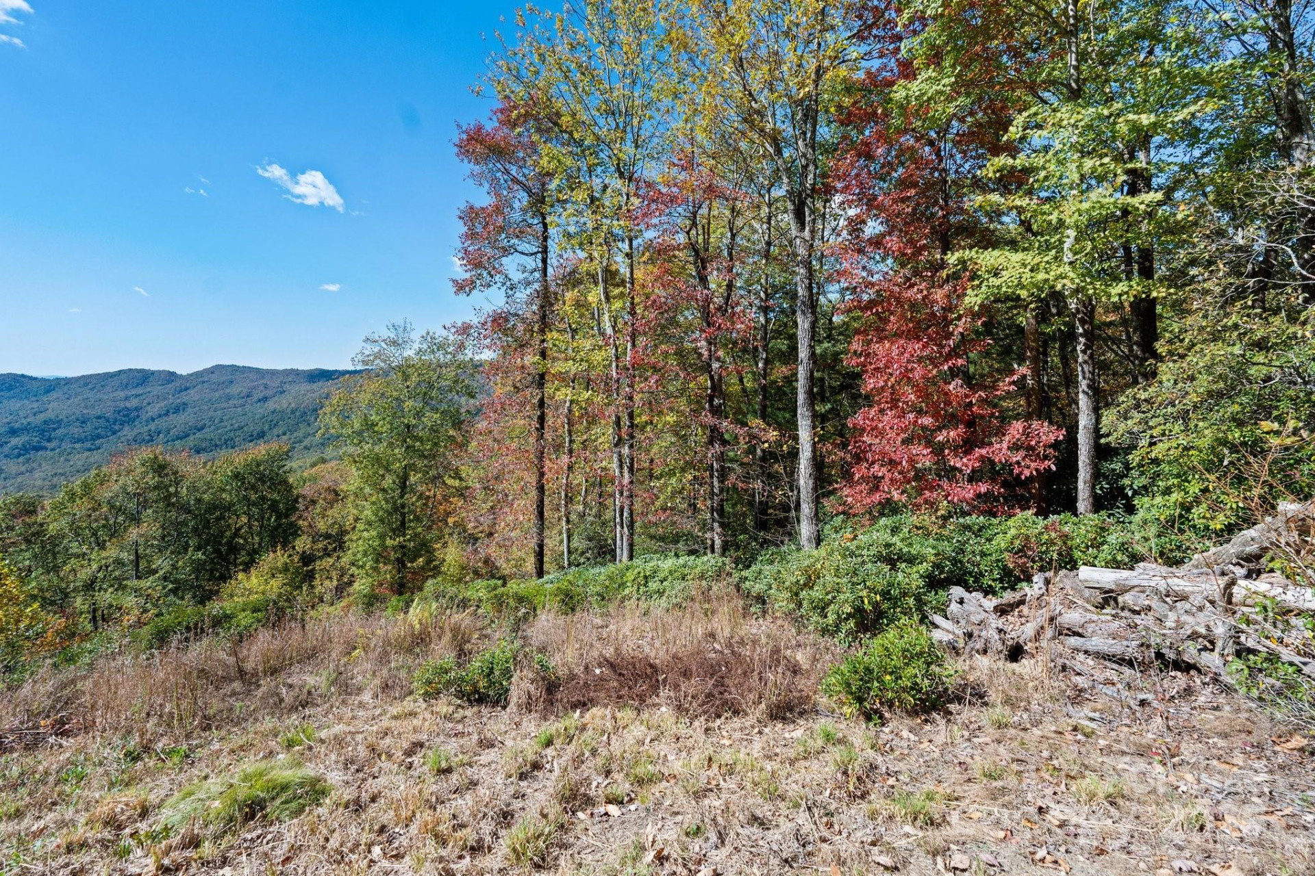 TBD Sassafras Ridge #36 - Photo 23
