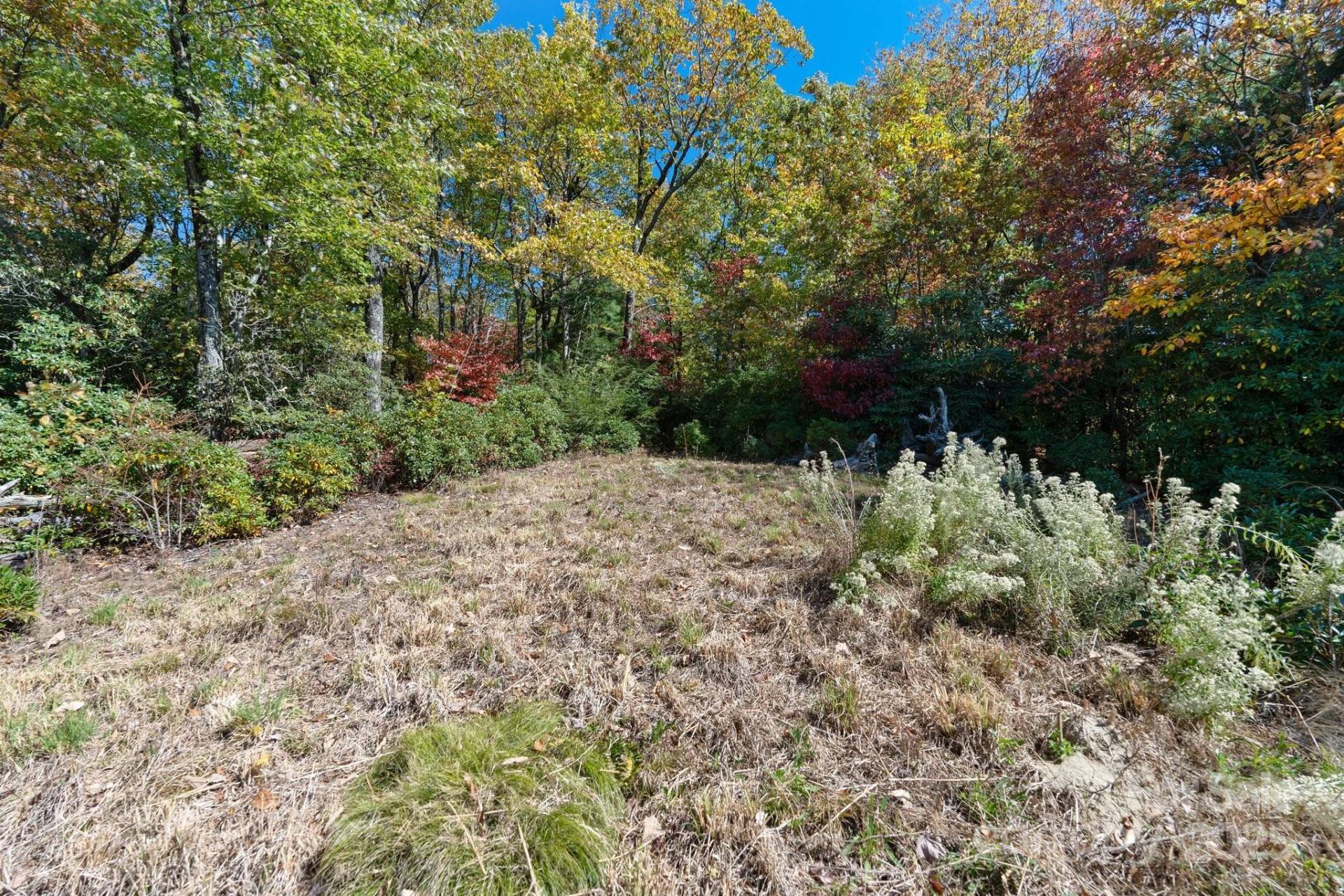 TBD Sassafras Ridge #36 - Photo 24