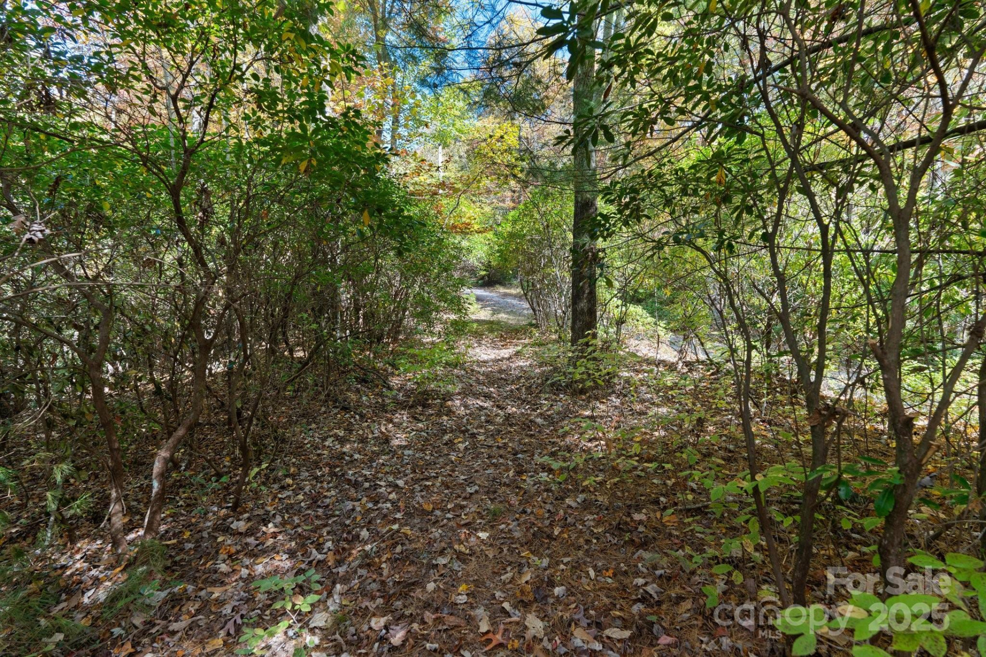 TBD Sassafras Ridge #36 - Photo 25