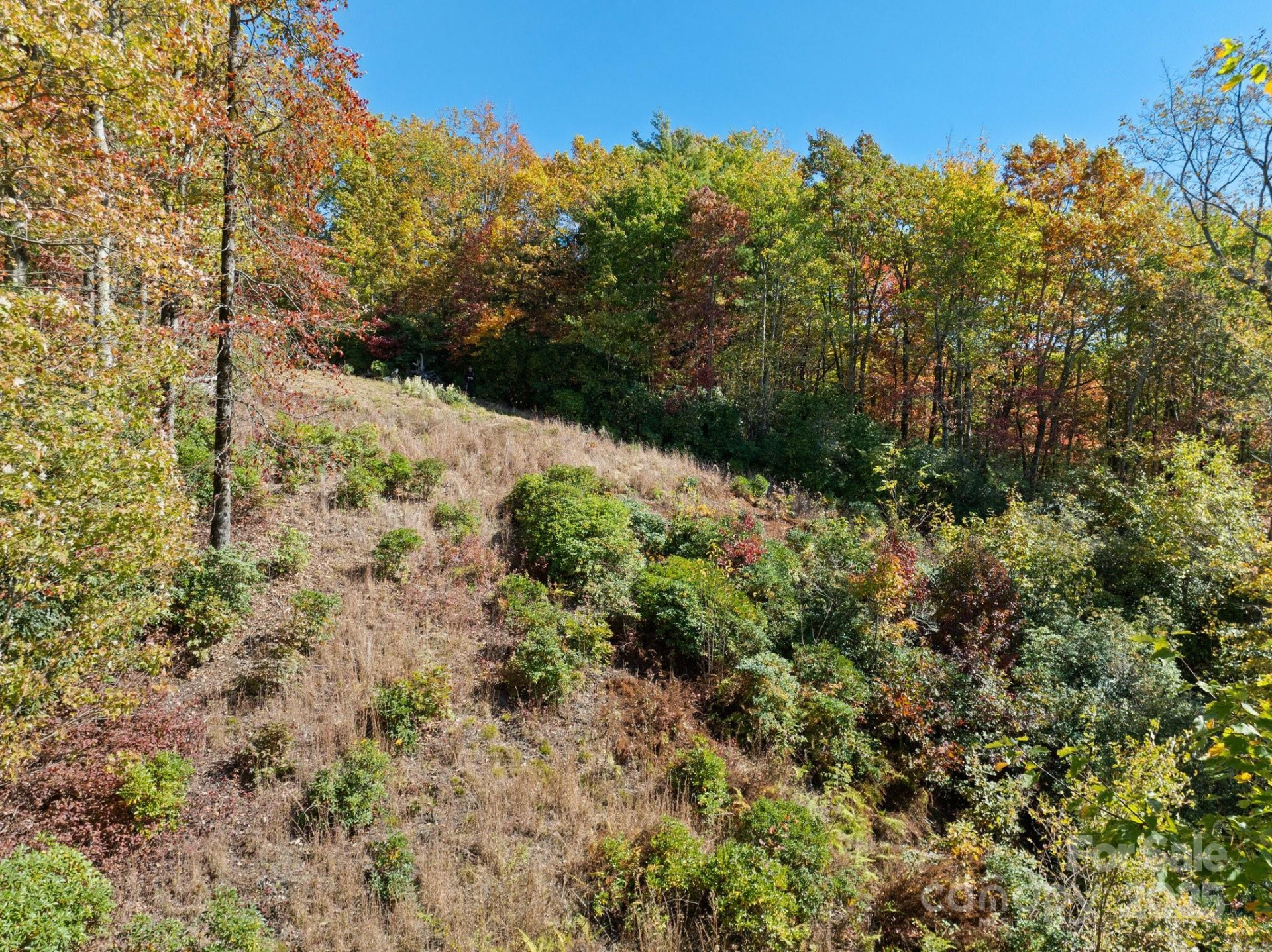 TBD Sassafras Ridge #36 - Photo 4