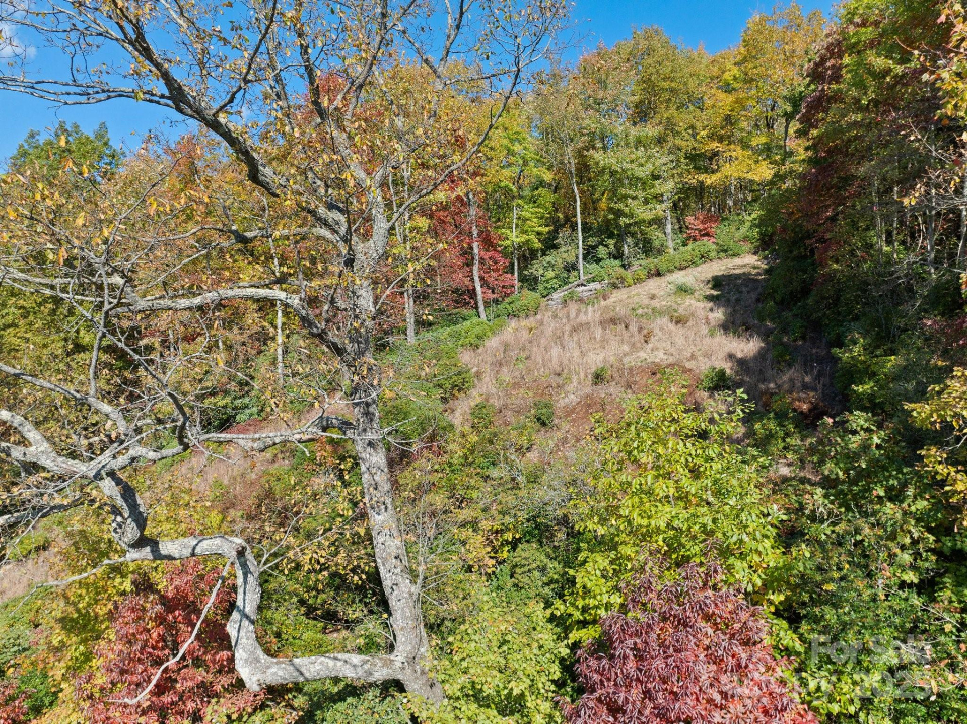 TBD Sassafras Ridge #36 - Photo 5