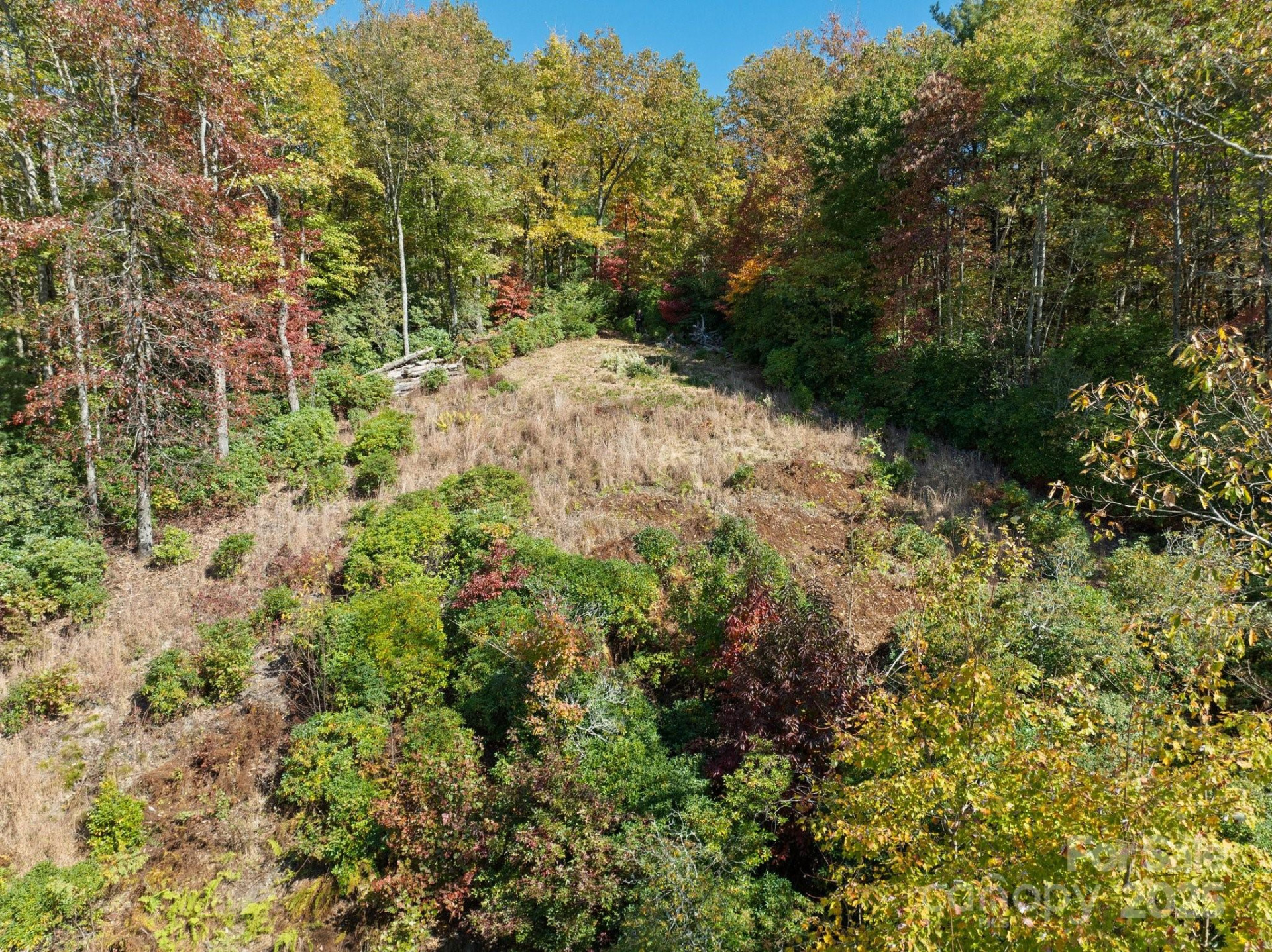 TBD Sassafras Ridge #36 - Photo 6