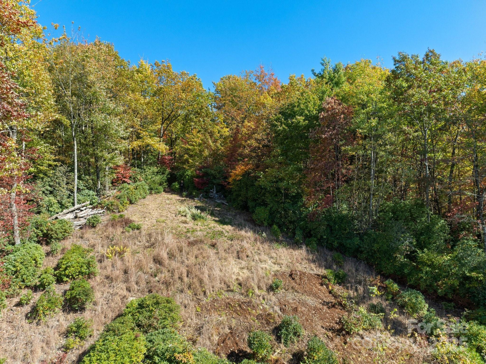 TBD Sassafras Ridge #36 - Photo 7