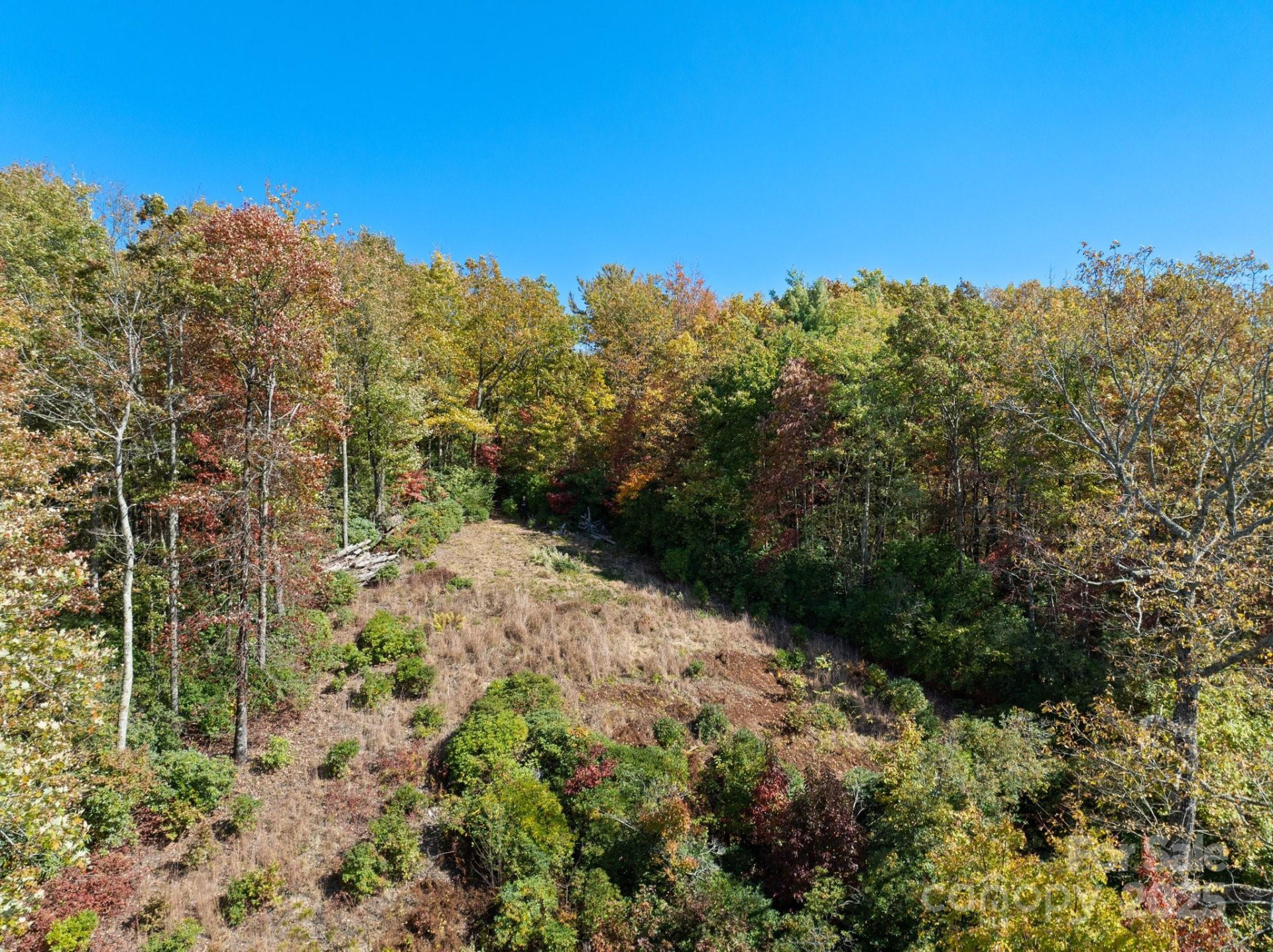 TBD Sassafras Ridge #36 - Photo 8