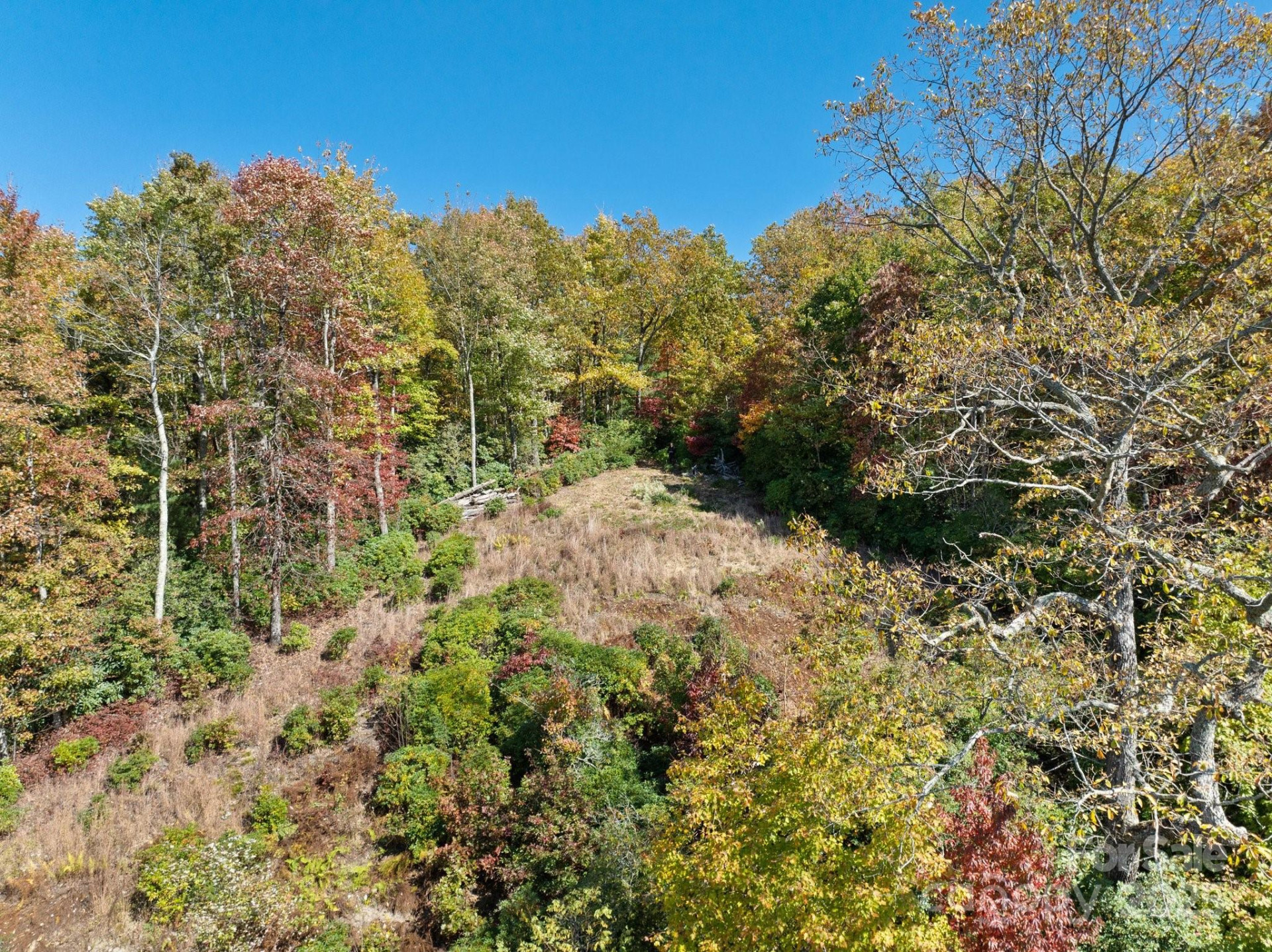 TBD Sassafras Ridge #36 - Photo 9