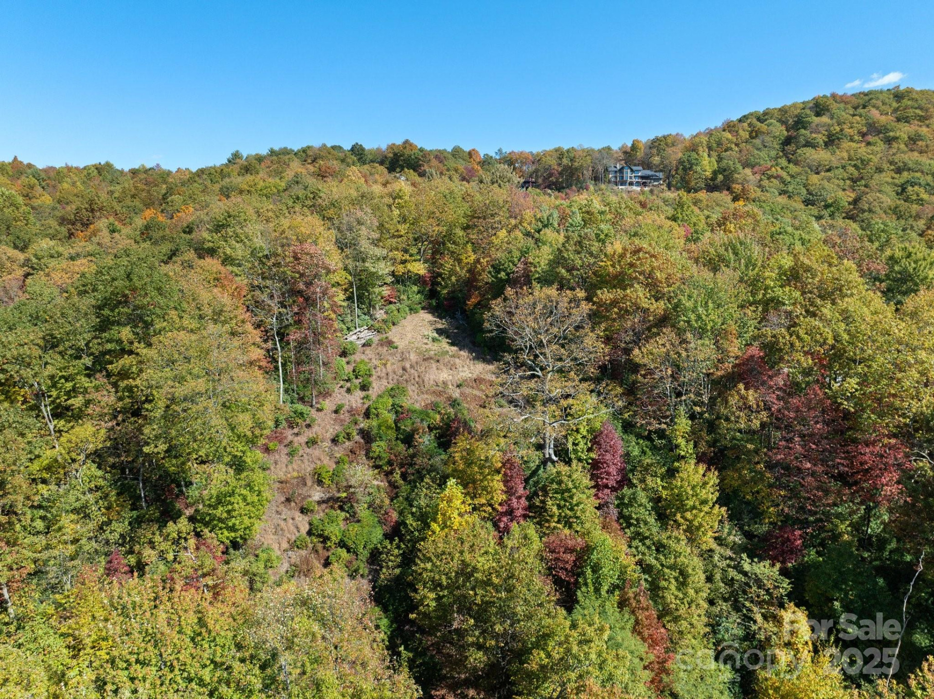 TBD Sassafras Ridge #36 - Photo 10