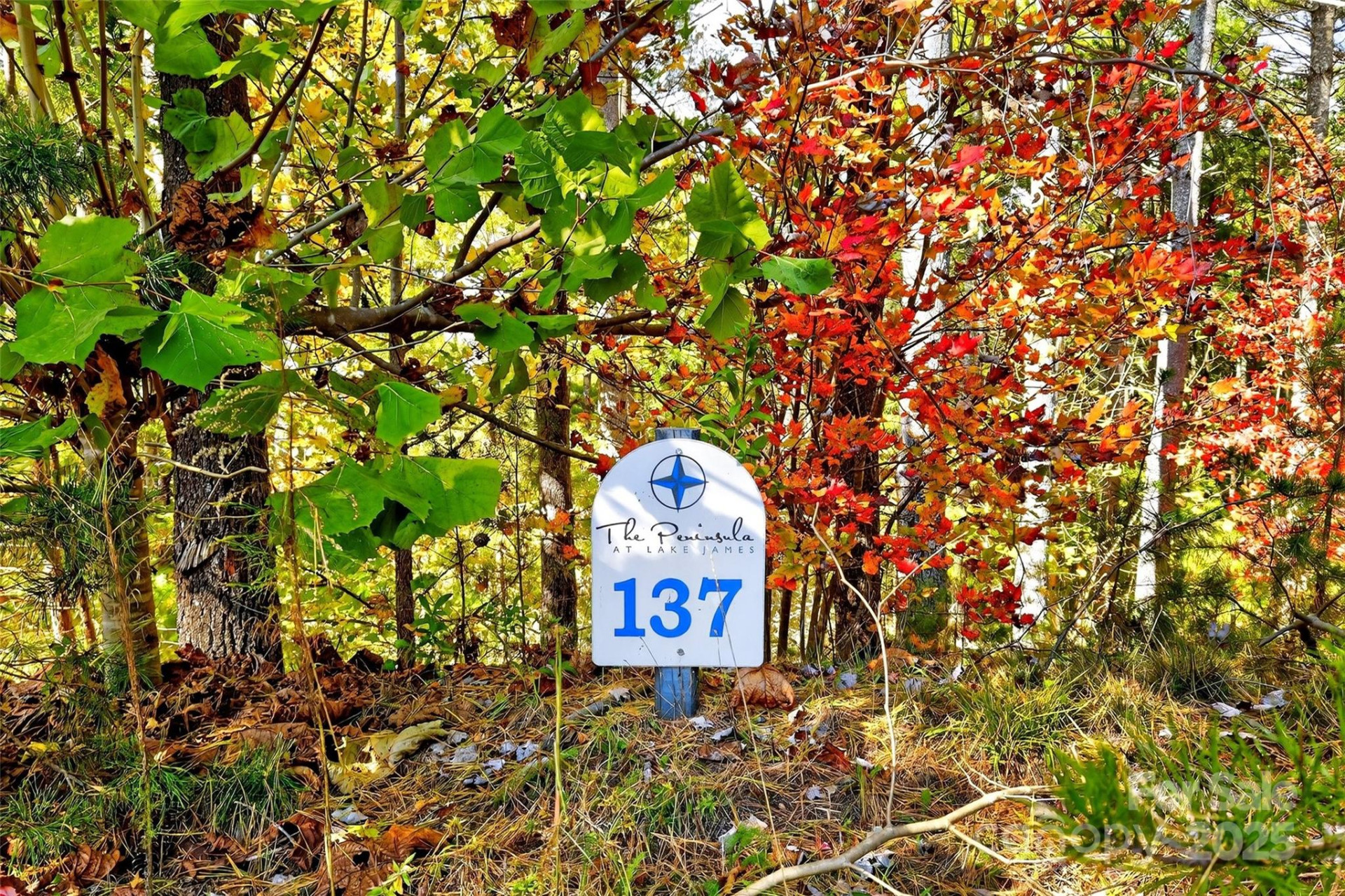 0 West Point Drive - Photo 2