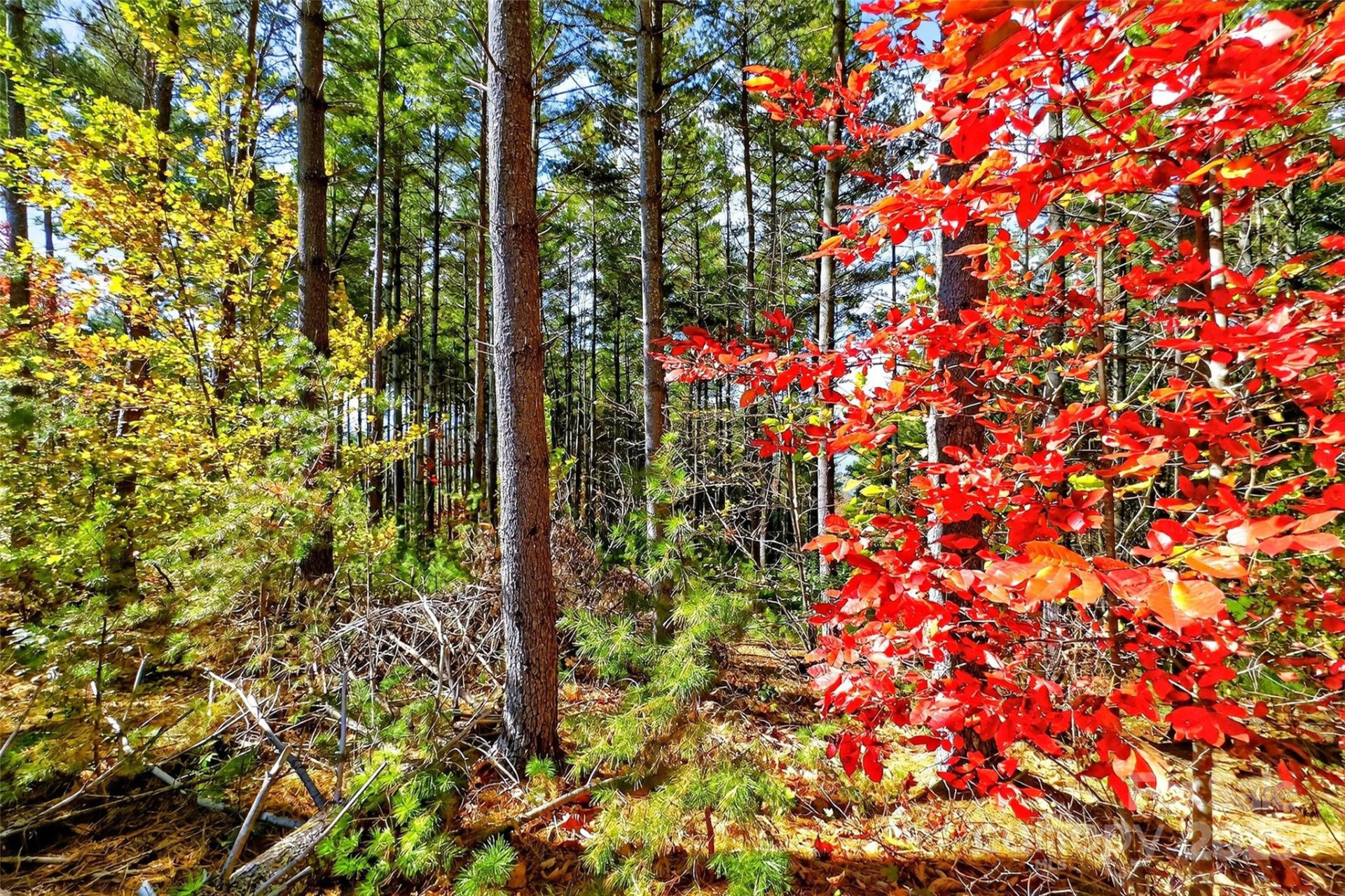 0 West Point Drive - Photo 12