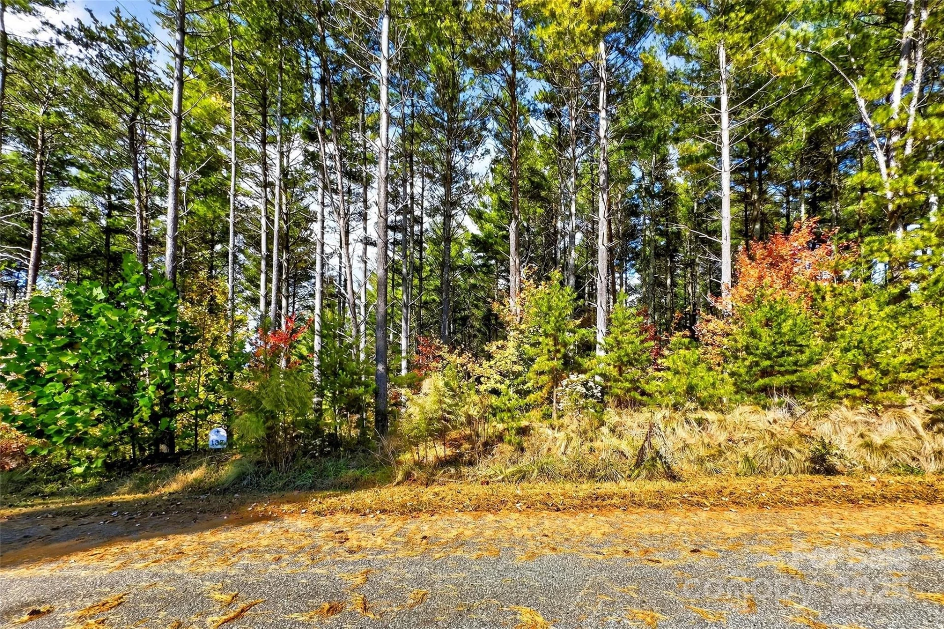 0 West Point Drive - Photo 13