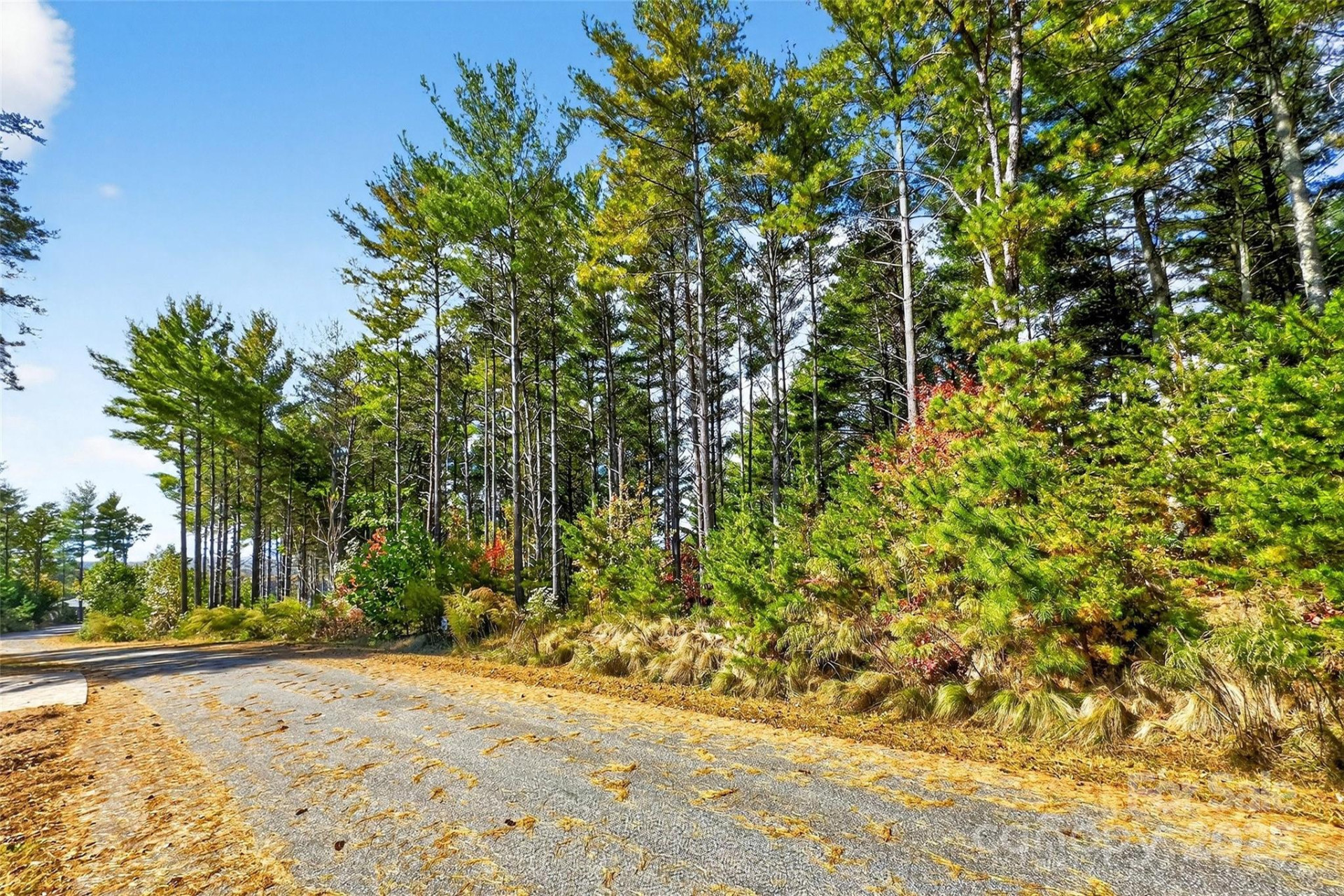 0 West Point Drive - Photo 14