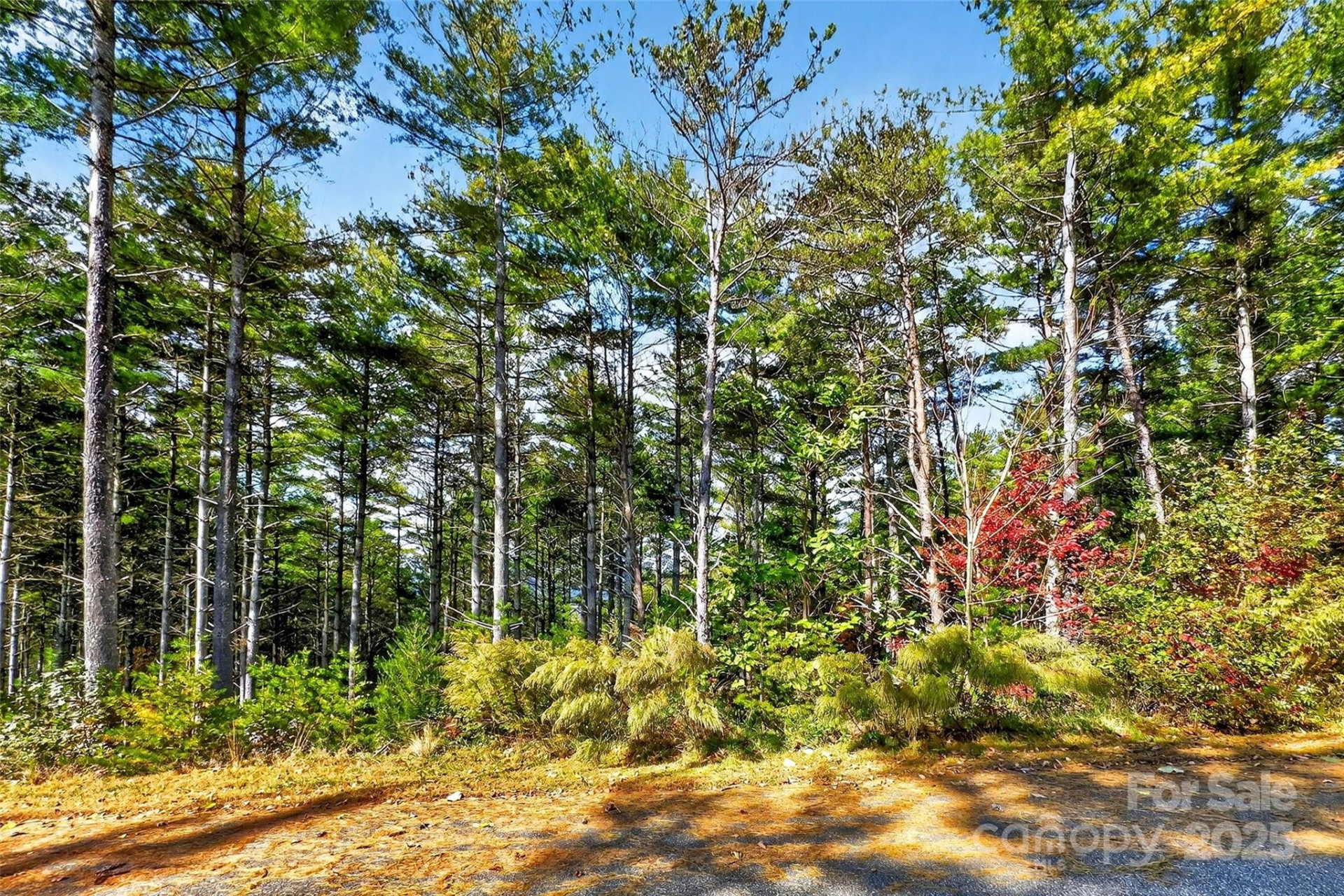 0 West Point Drive - Photo 15