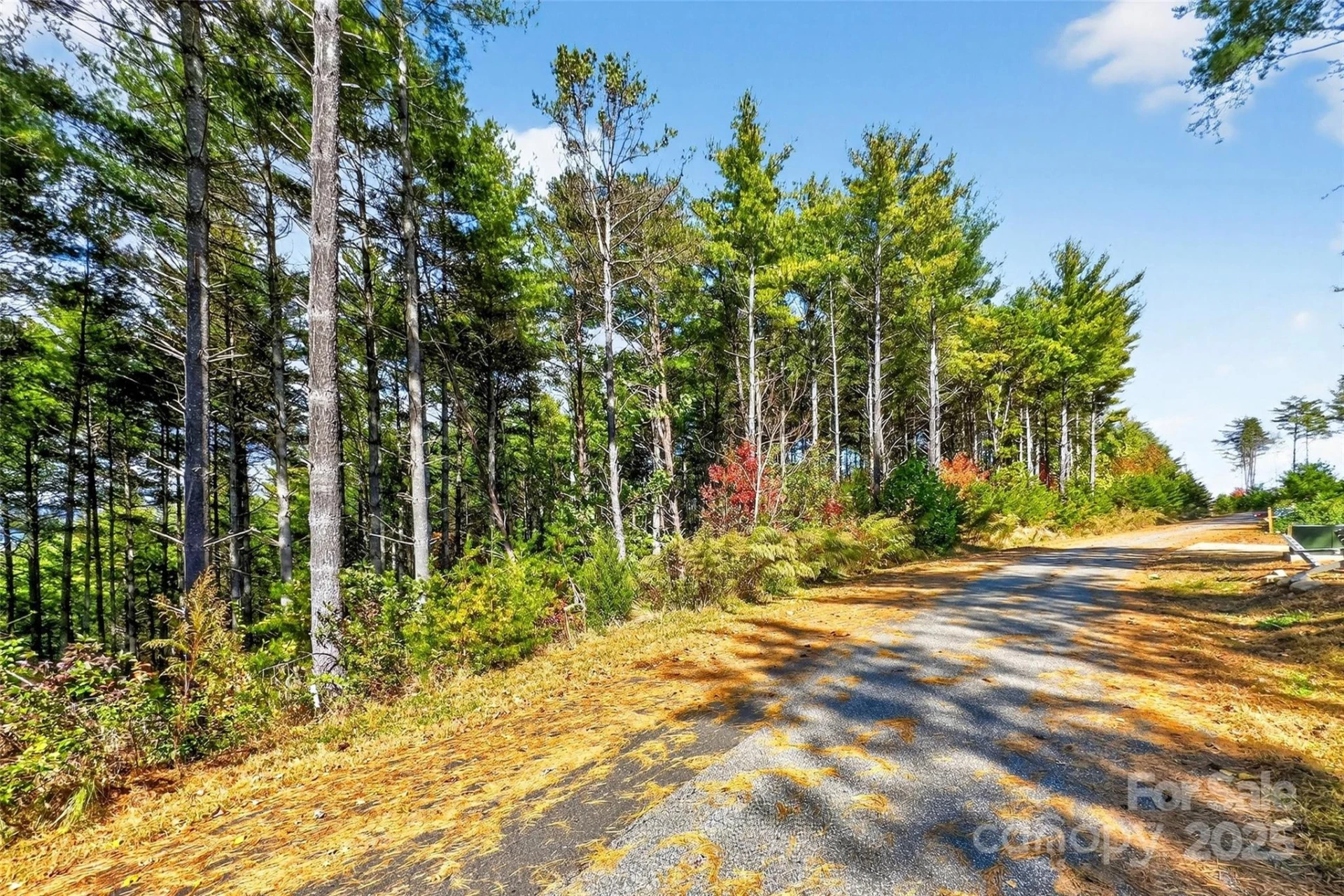 0 West Point Drive - Photo 16