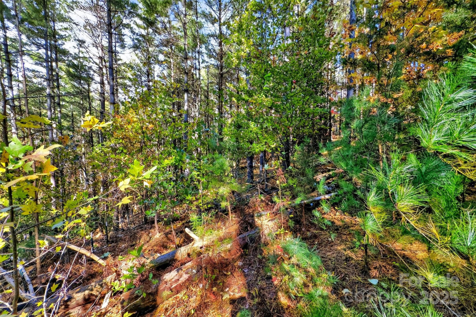 0 West Point Drive - Photo 3