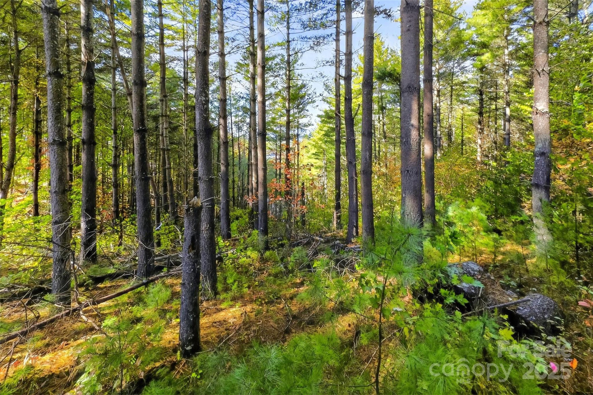 0 West Point Drive - Photo 4