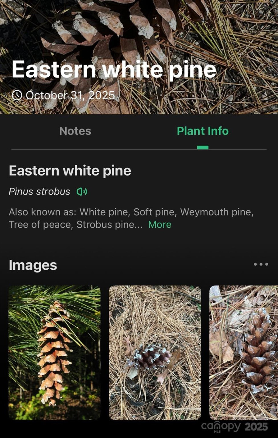 0 West Point Drive - Photo 33