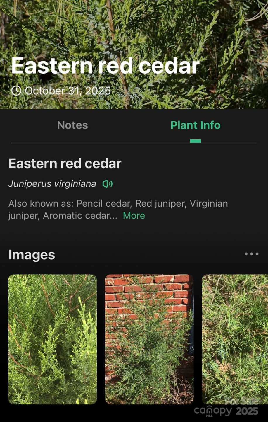 0 West Point Drive - Photo 34