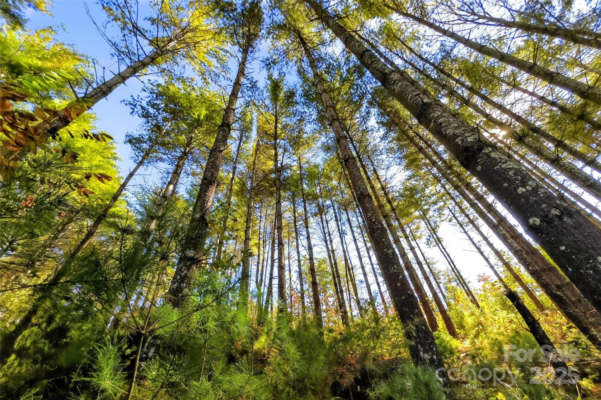 0 West Point Drive - Photo 5