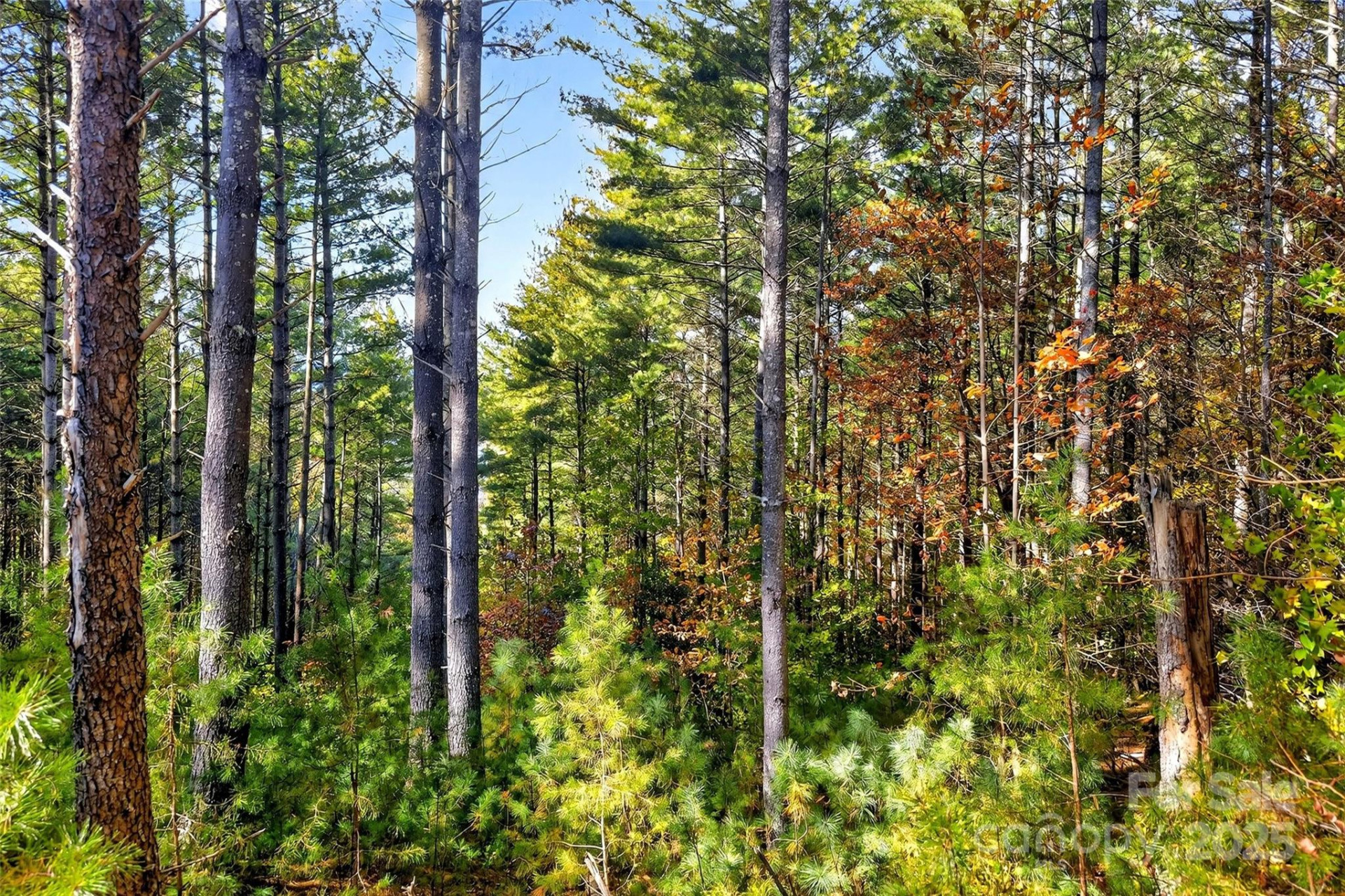 0 West Point Drive - Photo 7