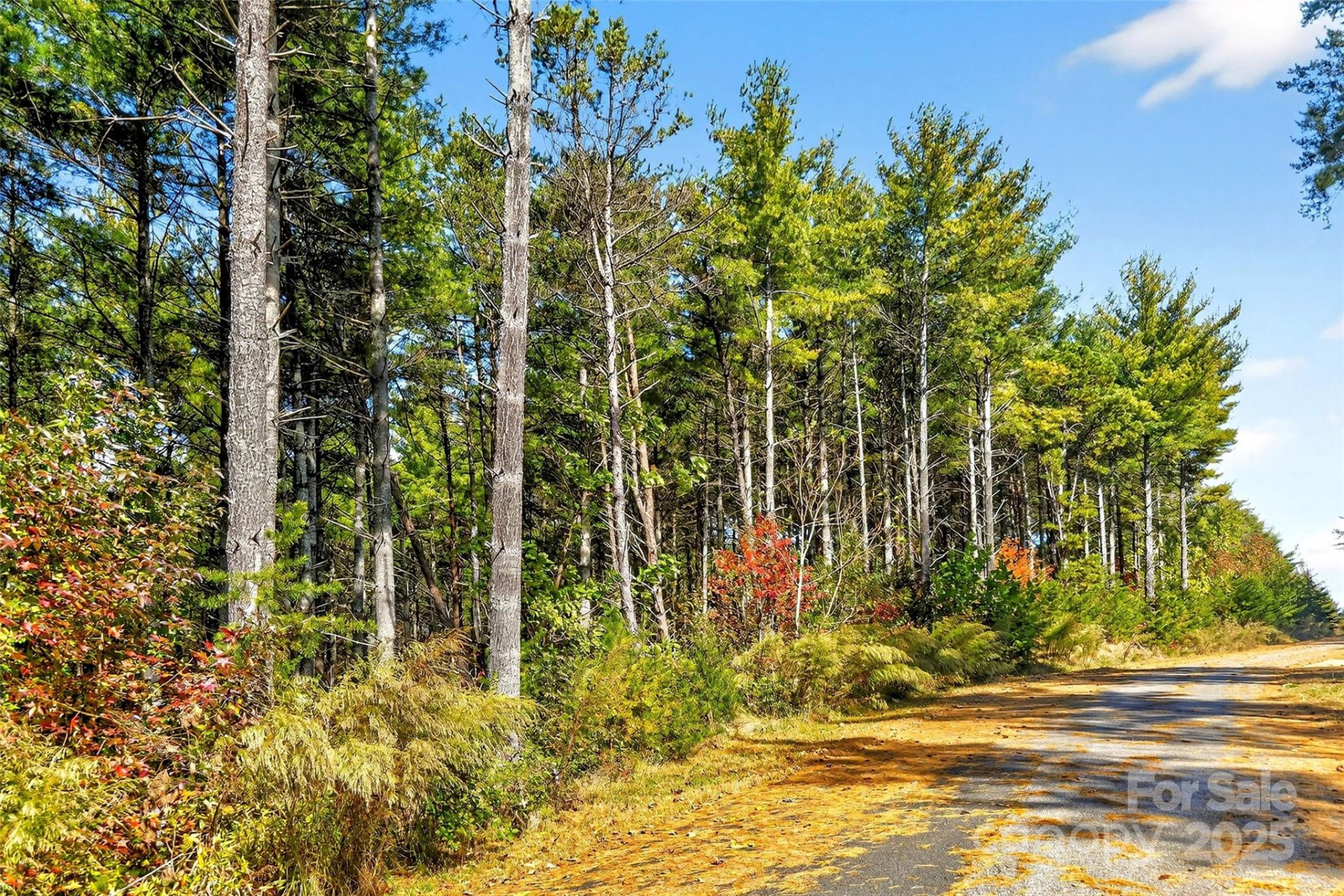 0 West Point Drive - Photo 8