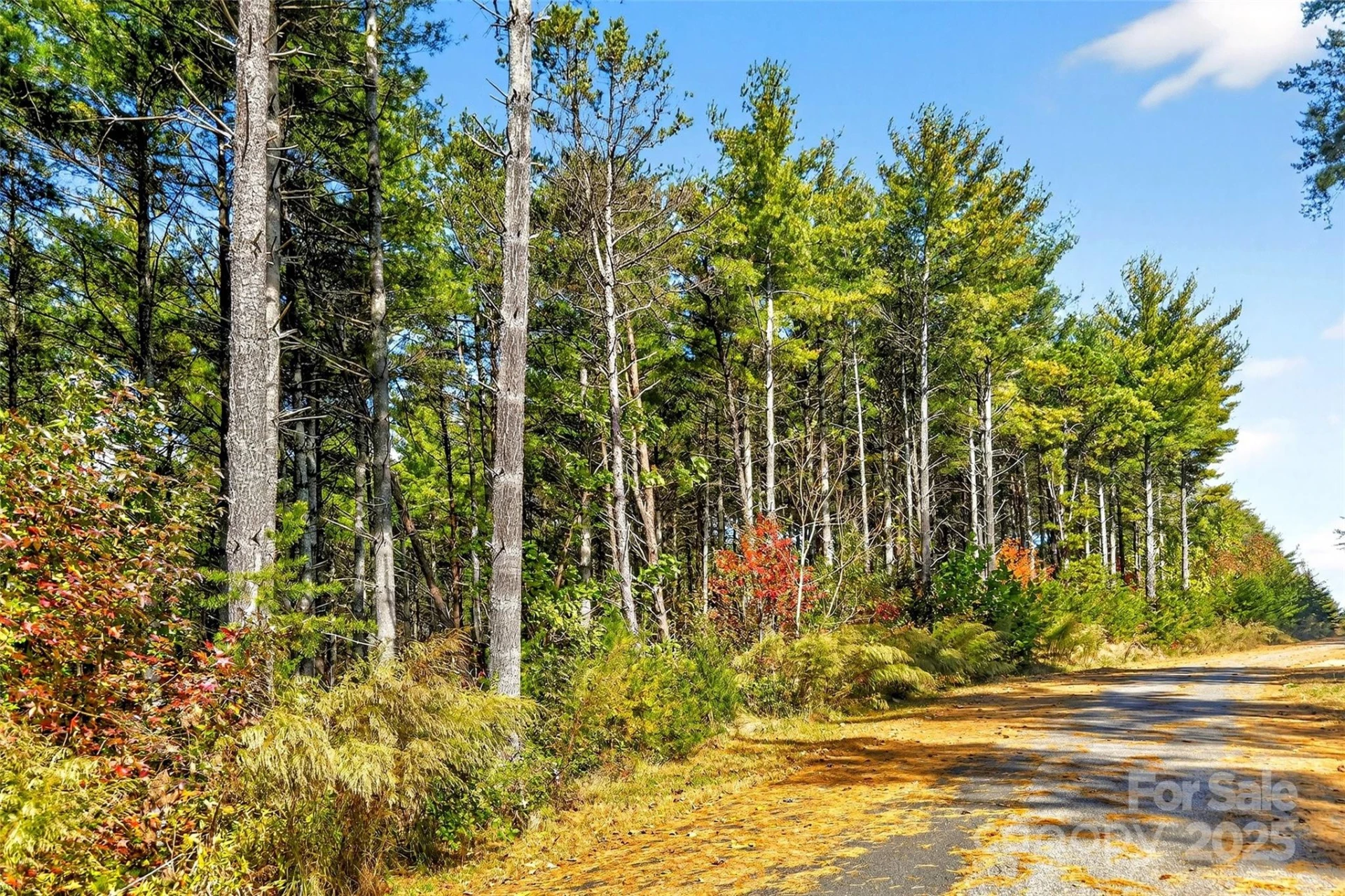 0 West Point Drive - Photo 8