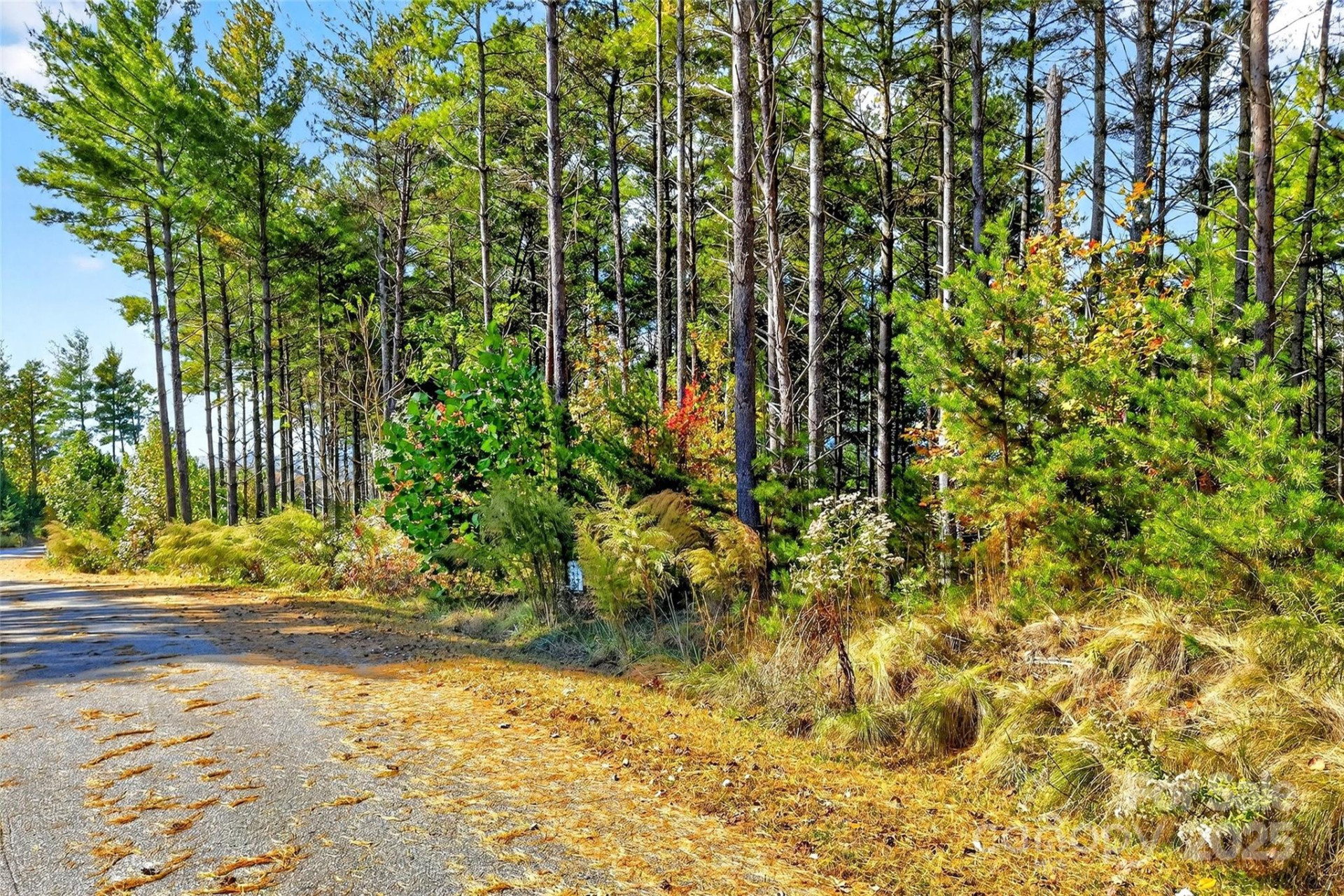 0 West Point Drive - Photo 9