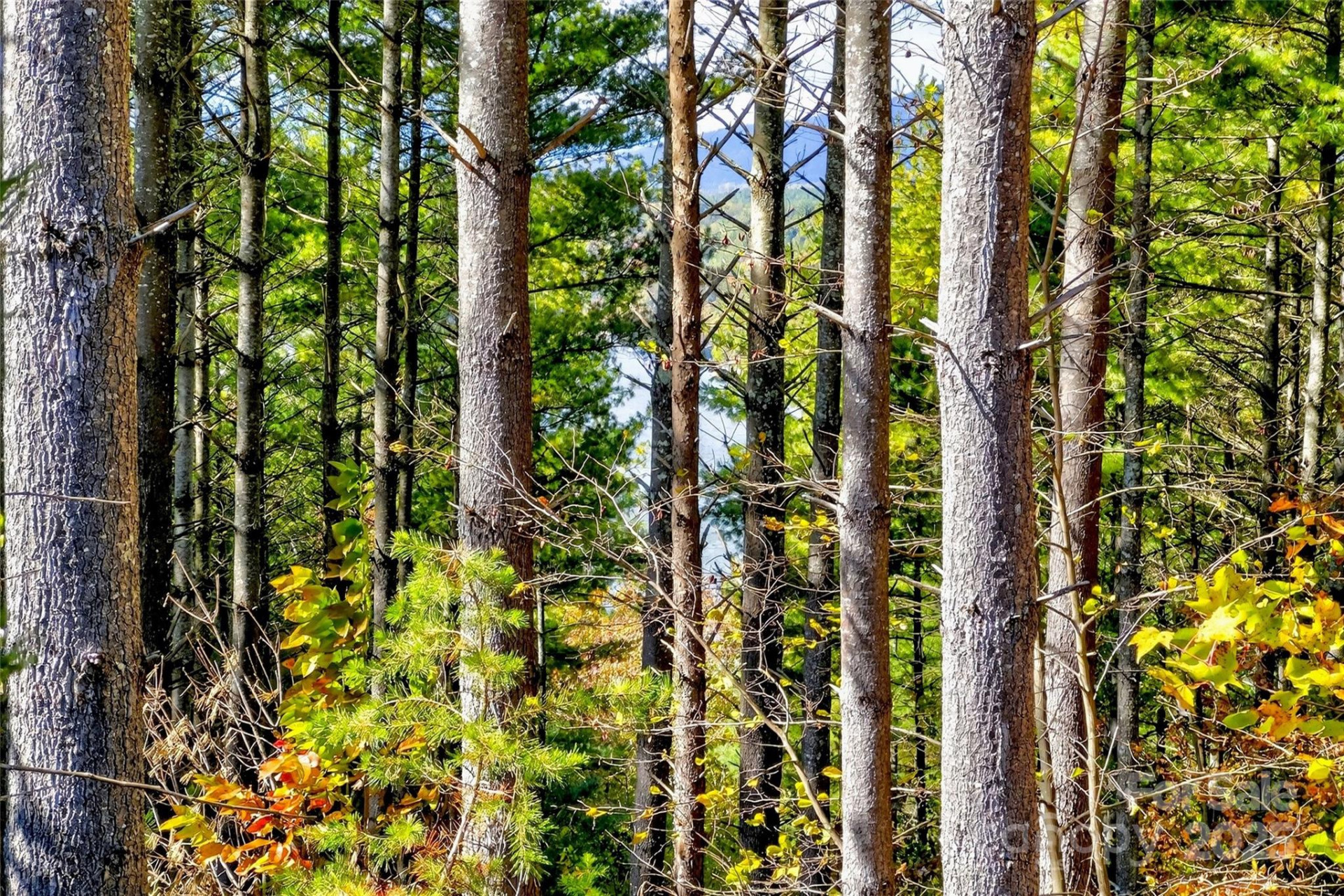 0 West Point Drive - Photo 10