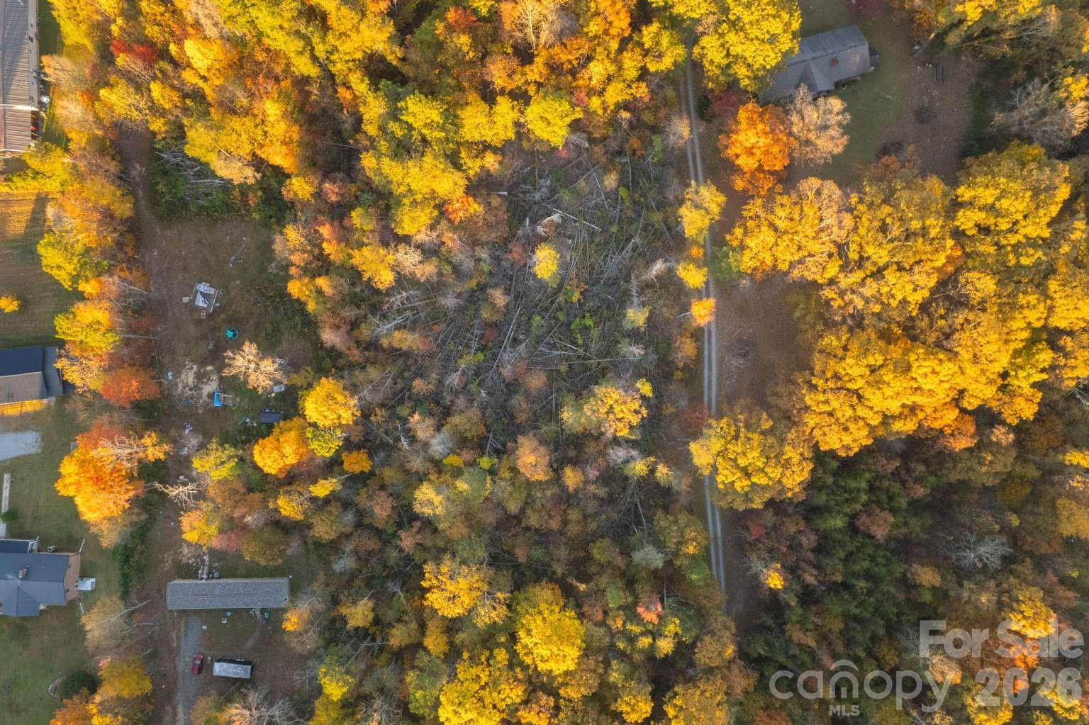 00 Camp Meeting Road - Photo 3