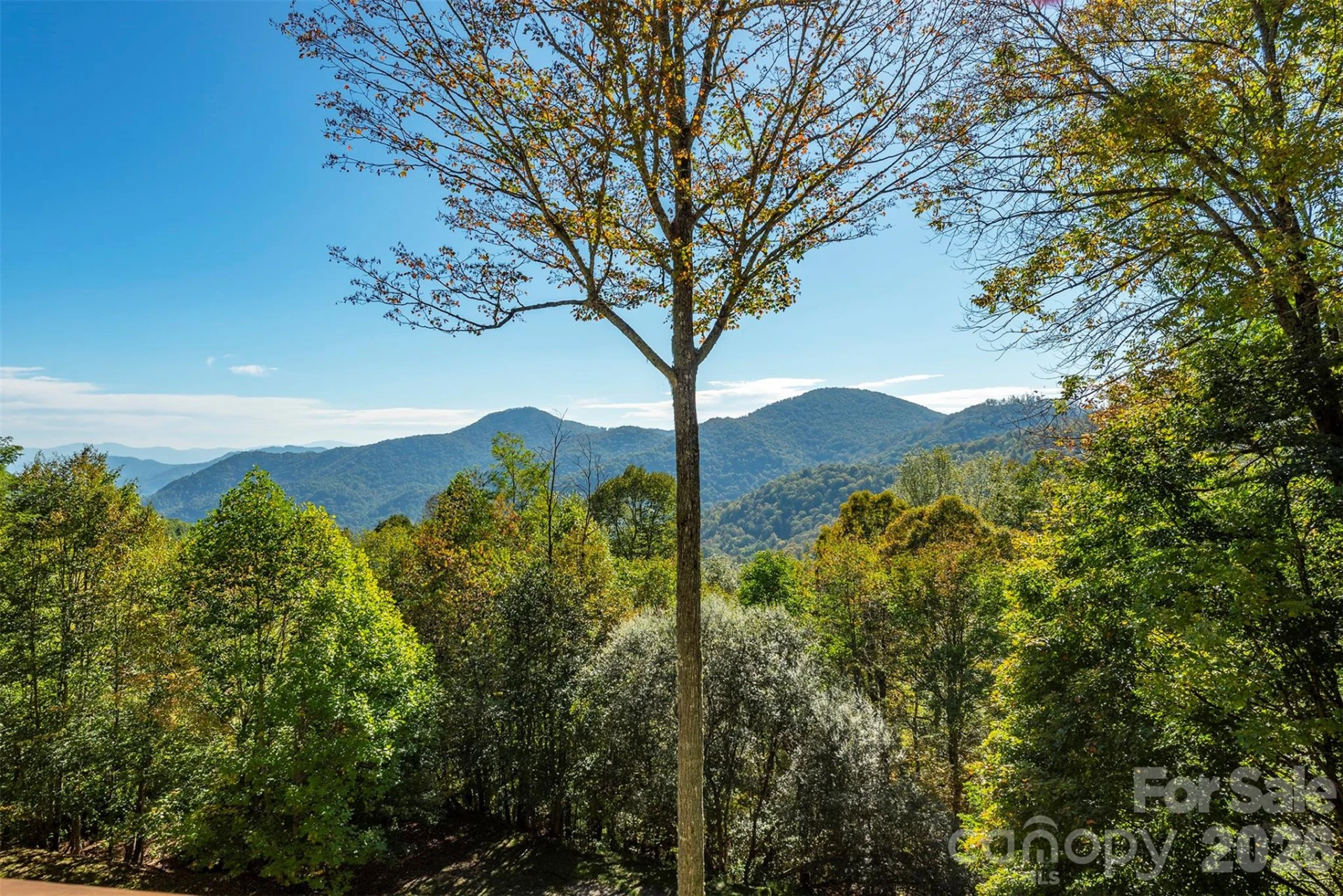 322 Goldenleaf Road - Photo 14