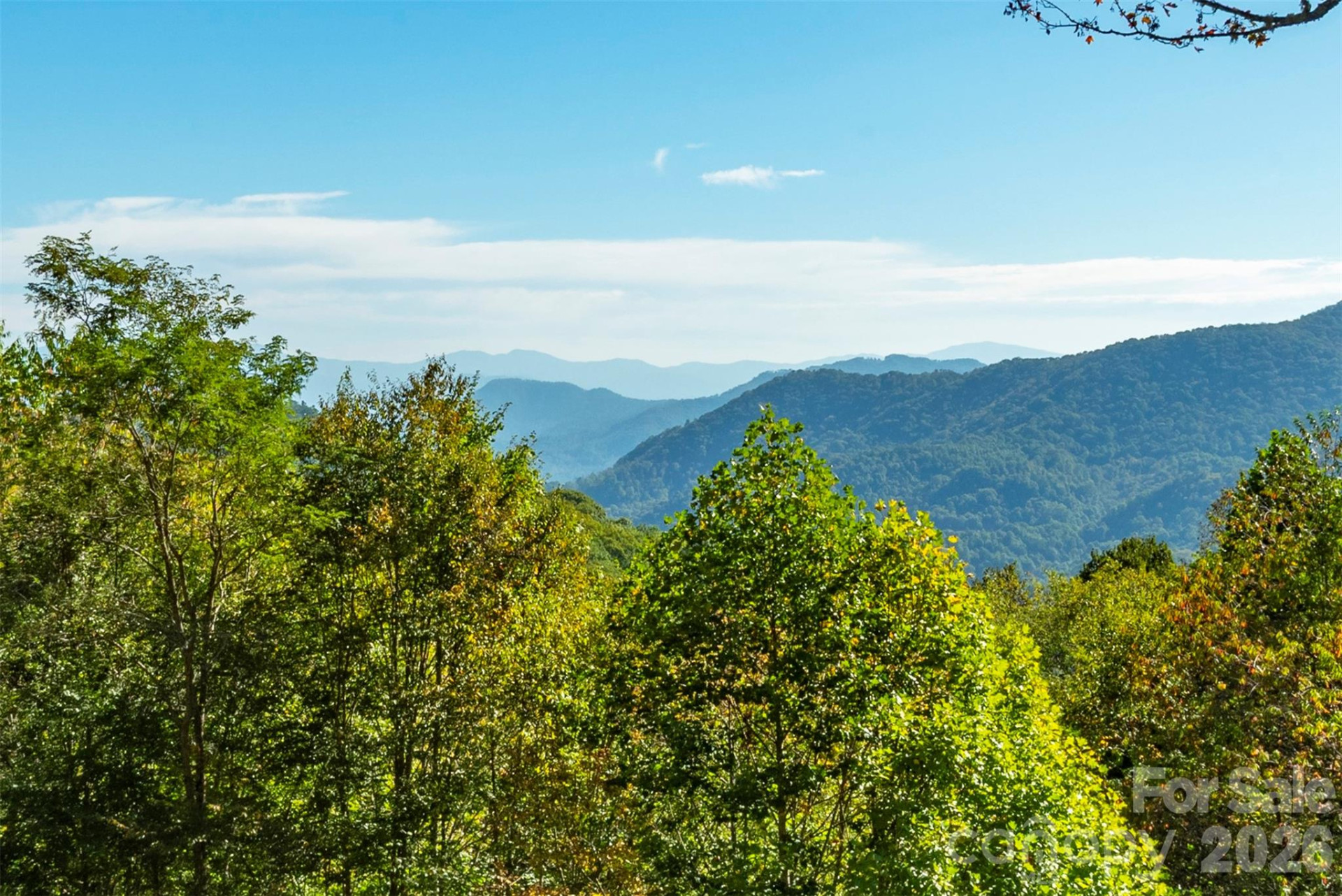 322 Goldenleaf Road - Photo 42