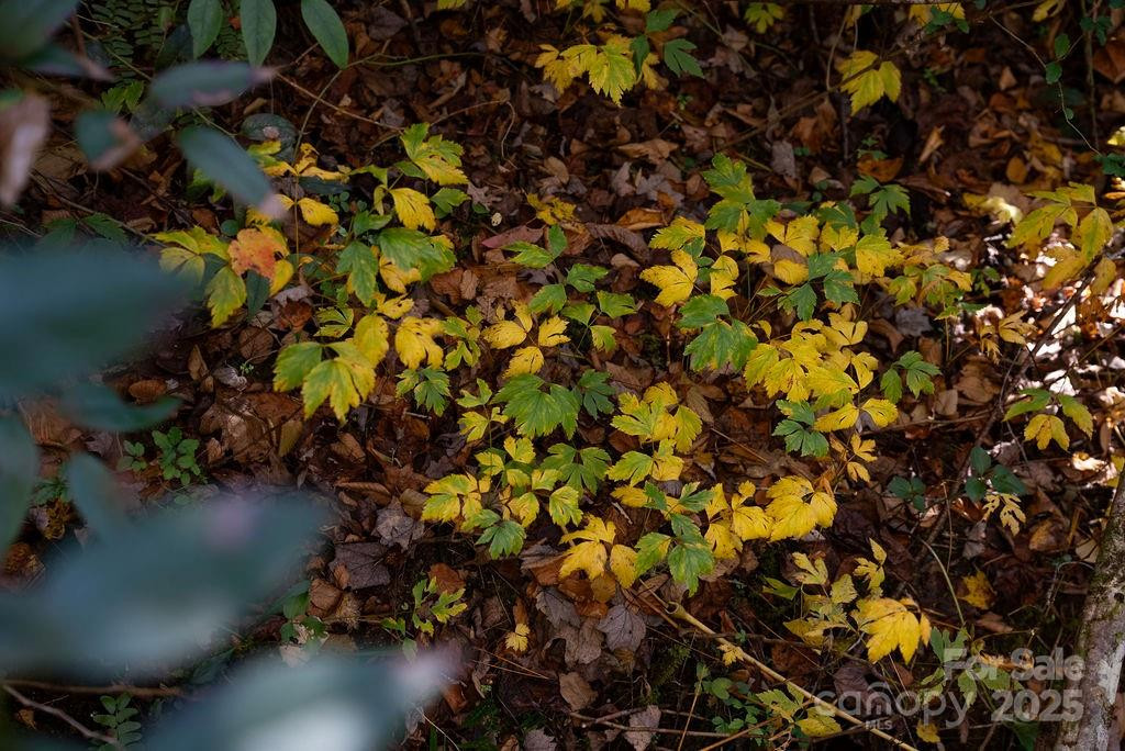 3761 Frozen Creek Road #31,32,33 - Photo 23