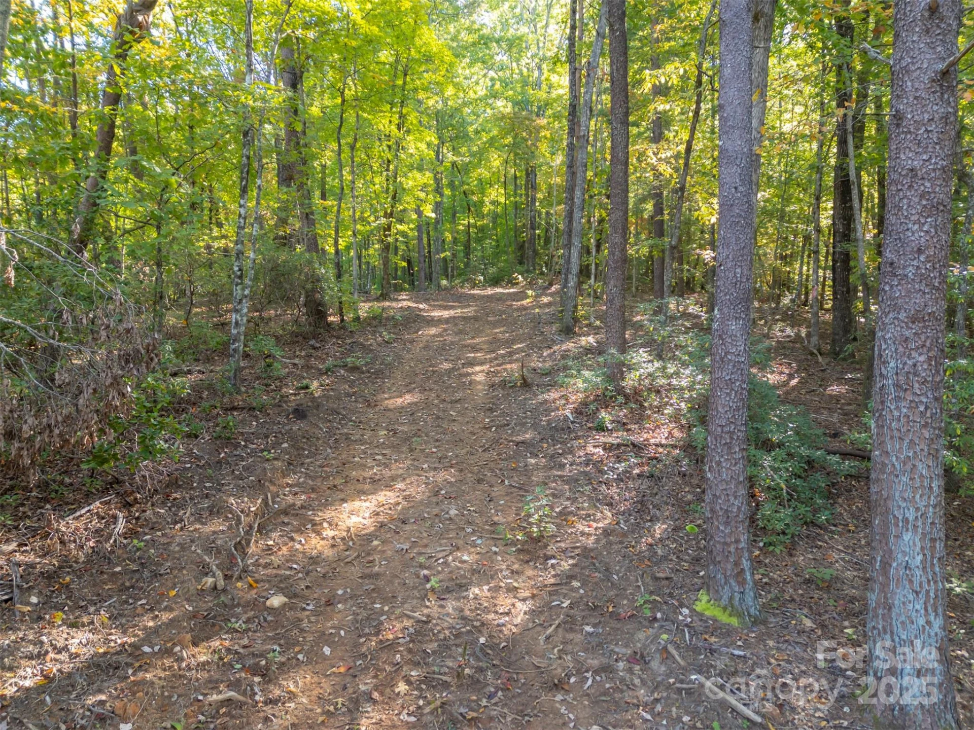 3298 Buffalo Creek Road - Photo 2