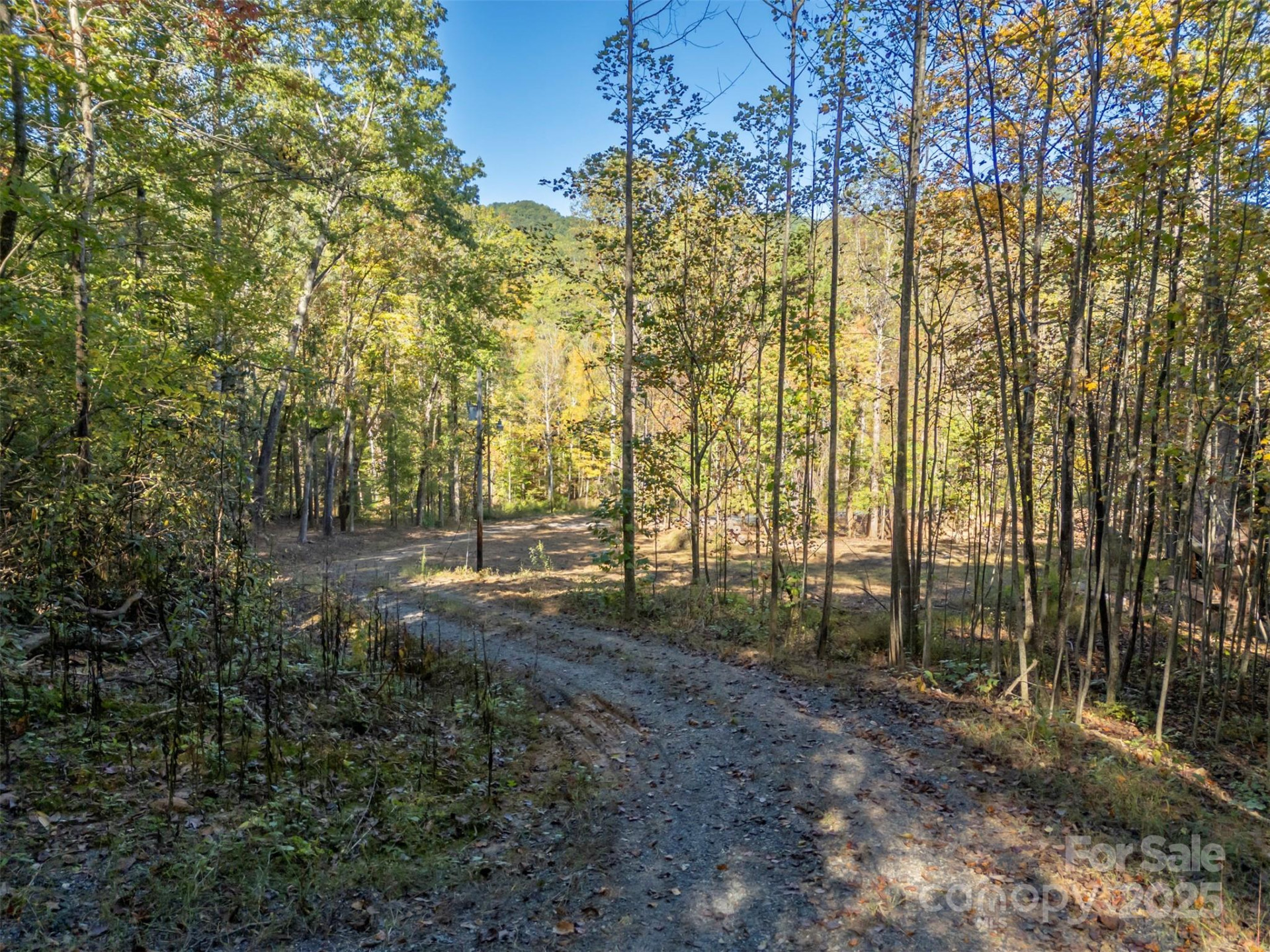 3298 Buffalo Creek Road - Photo 14