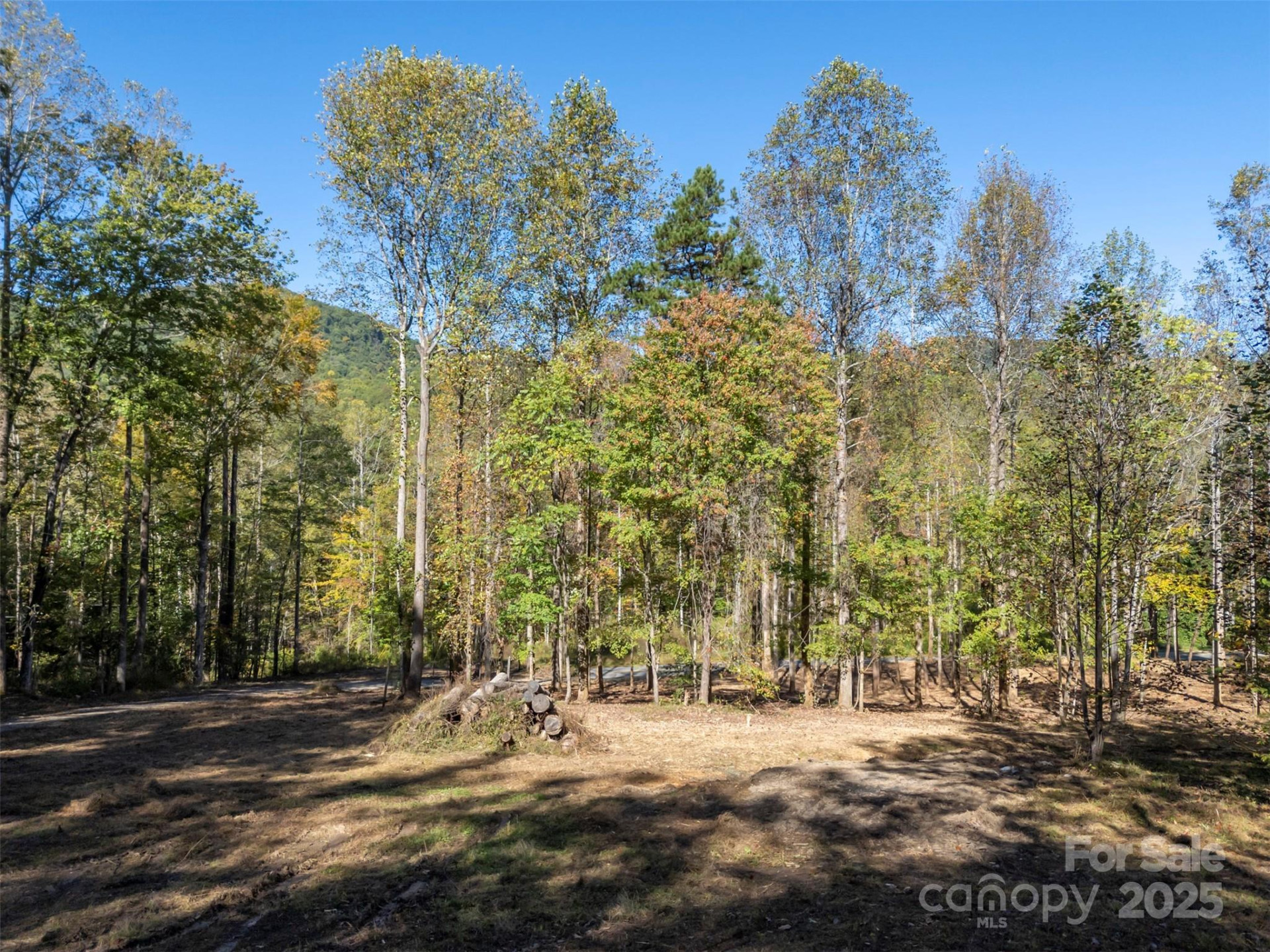 3298 Buffalo Creek Road - Photo 16