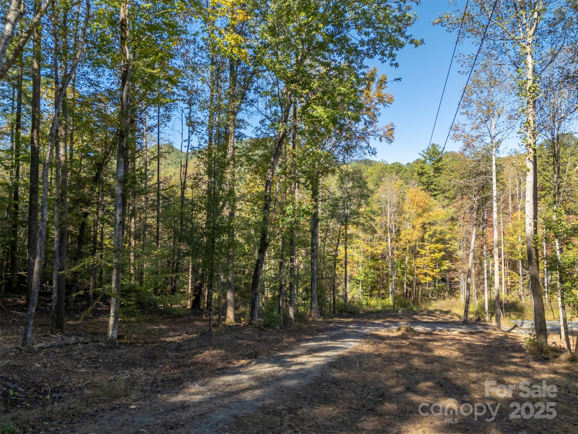 3298 Buffalo Creek Road - Photo 17