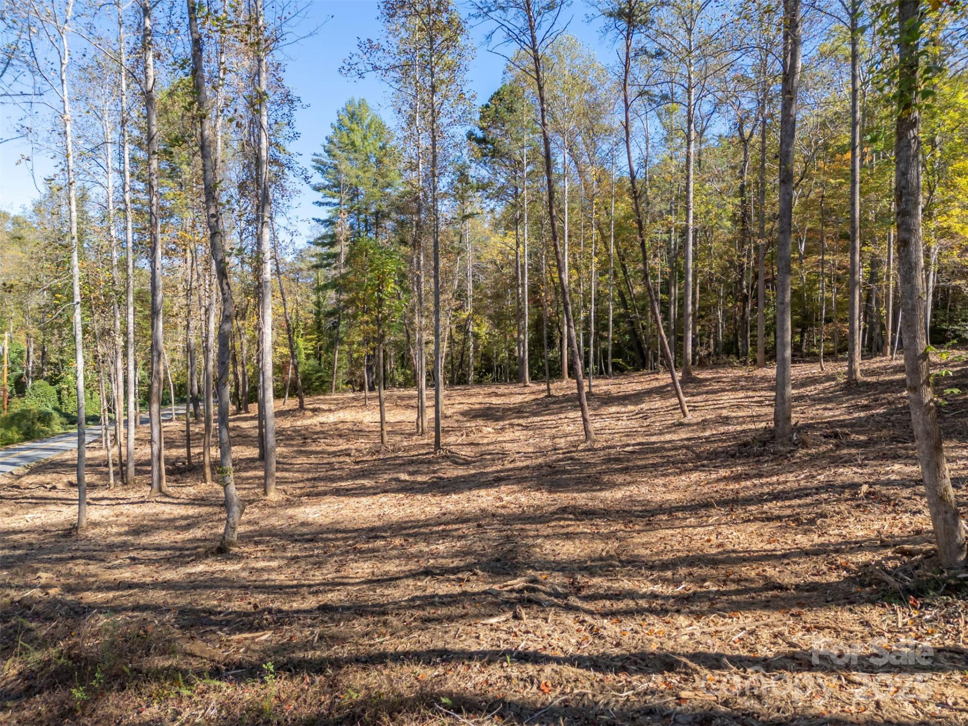 3298 Buffalo Creek Road - Photo 19