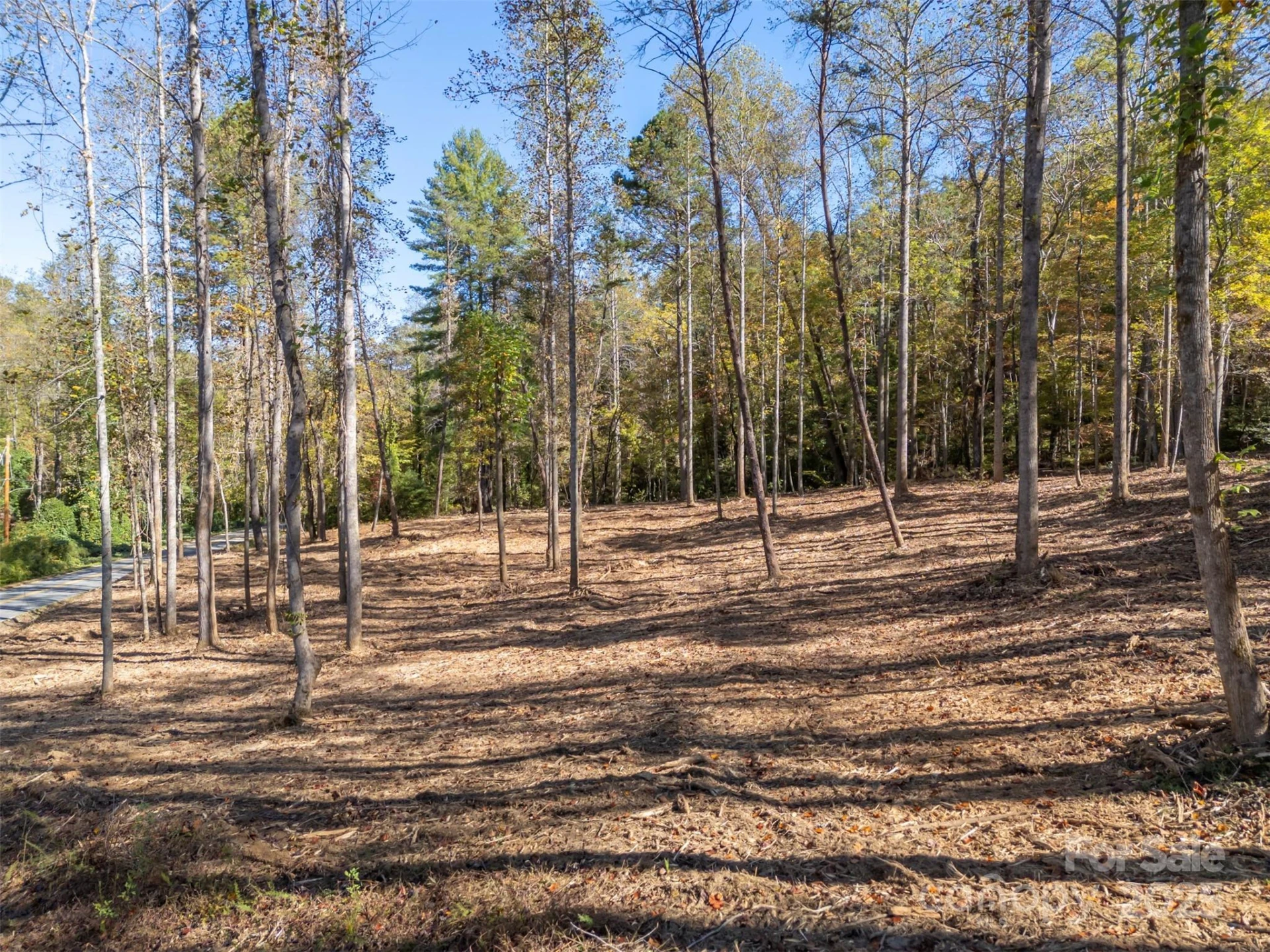 3298 Buffalo Creek Road - Photo 19