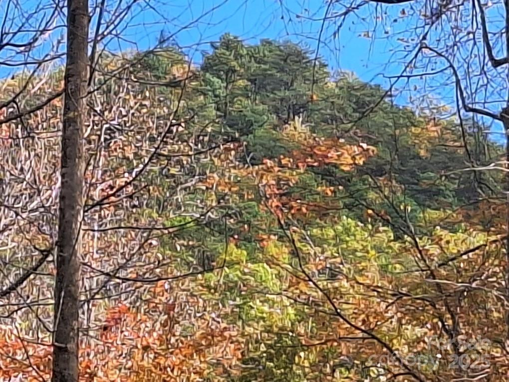 3298 Buffalo Creek Road - Photo 20