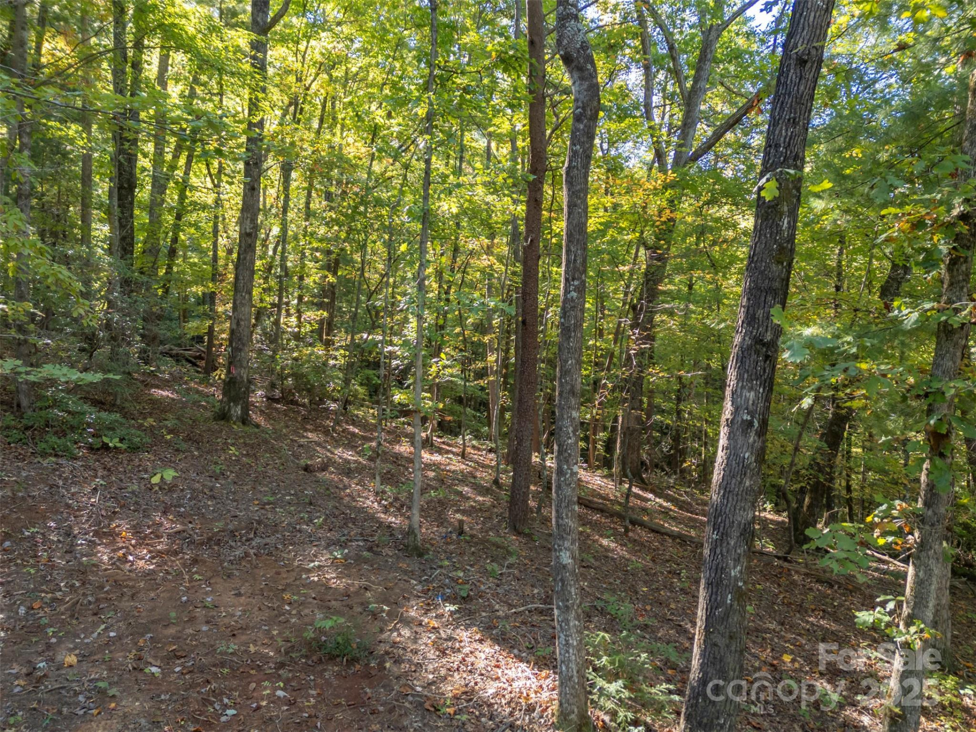 3298 Buffalo Creek Road - Photo 3