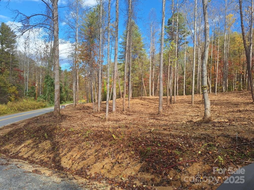 3298 Buffalo Creek Road - Photo 22