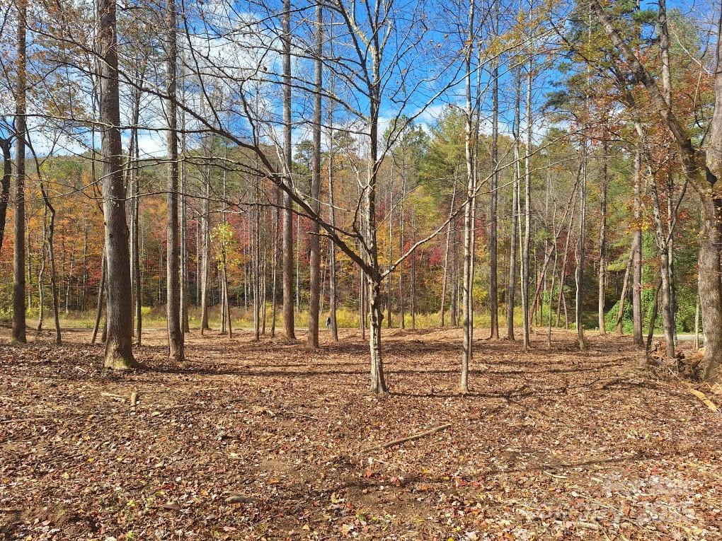 3298 Buffalo Creek Road - Photo 24