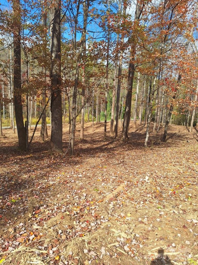 3298 Buffalo Creek Road - Photo 25