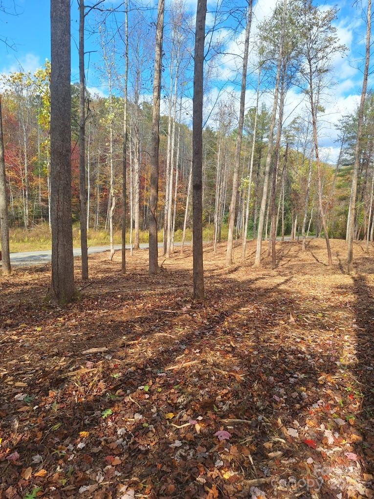 3298 Buffalo Creek Road - Photo 26