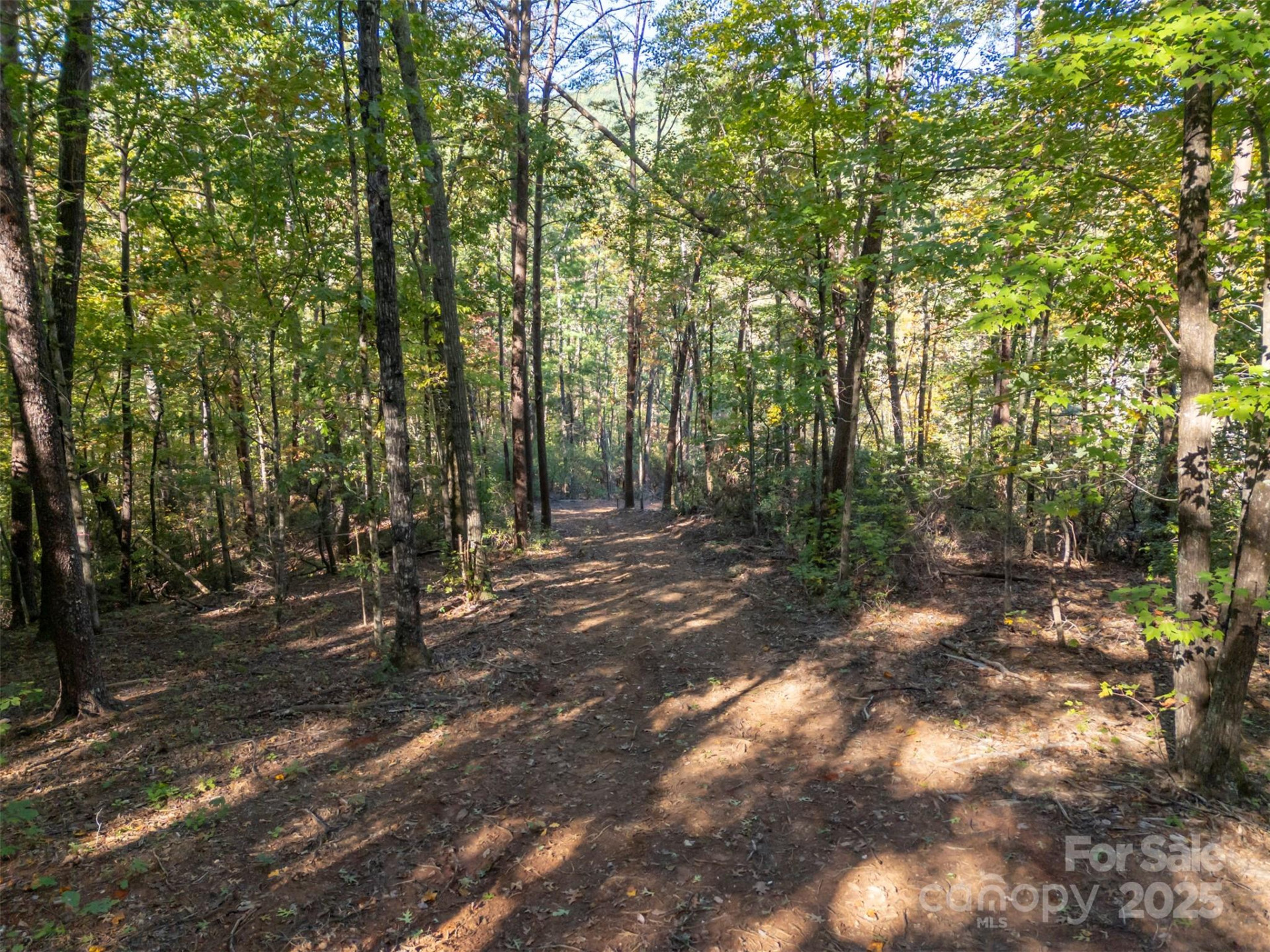 3298 Buffalo Creek Road - Photo 4